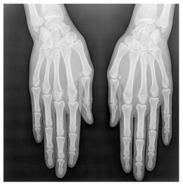 Applsci 13 06132 i042