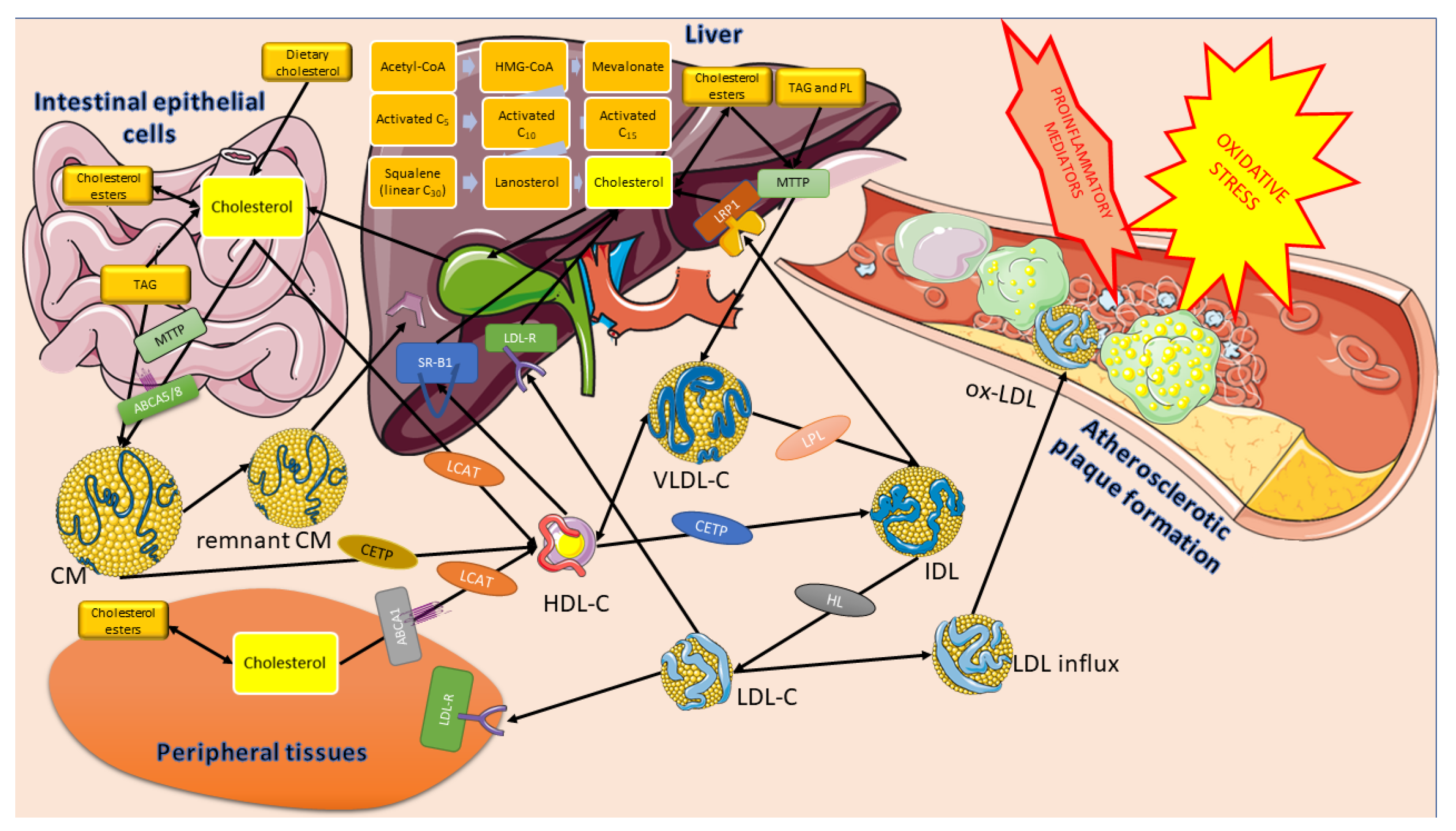 Applsci 13 06149 g002