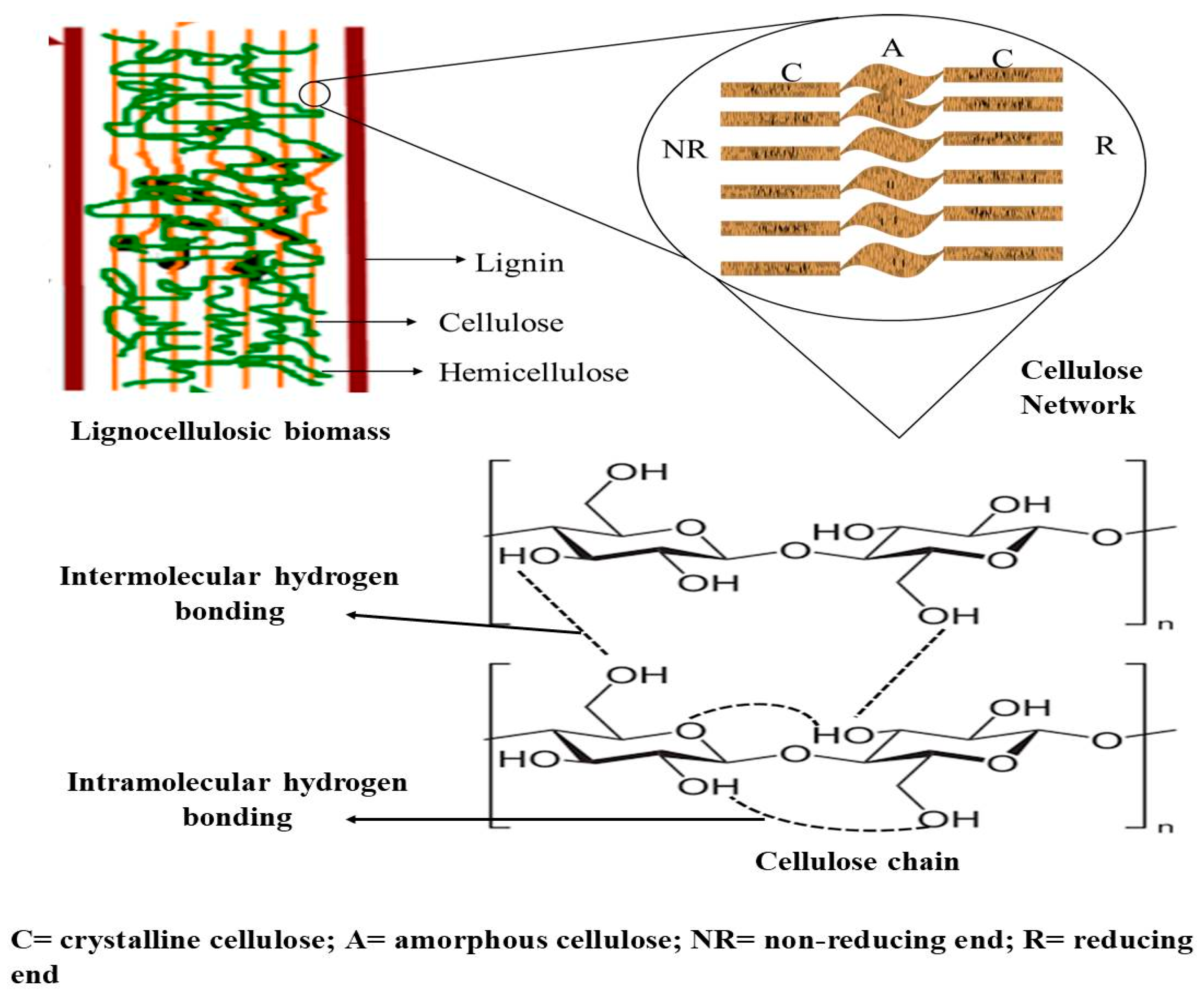 Applsci 13 06159 g001