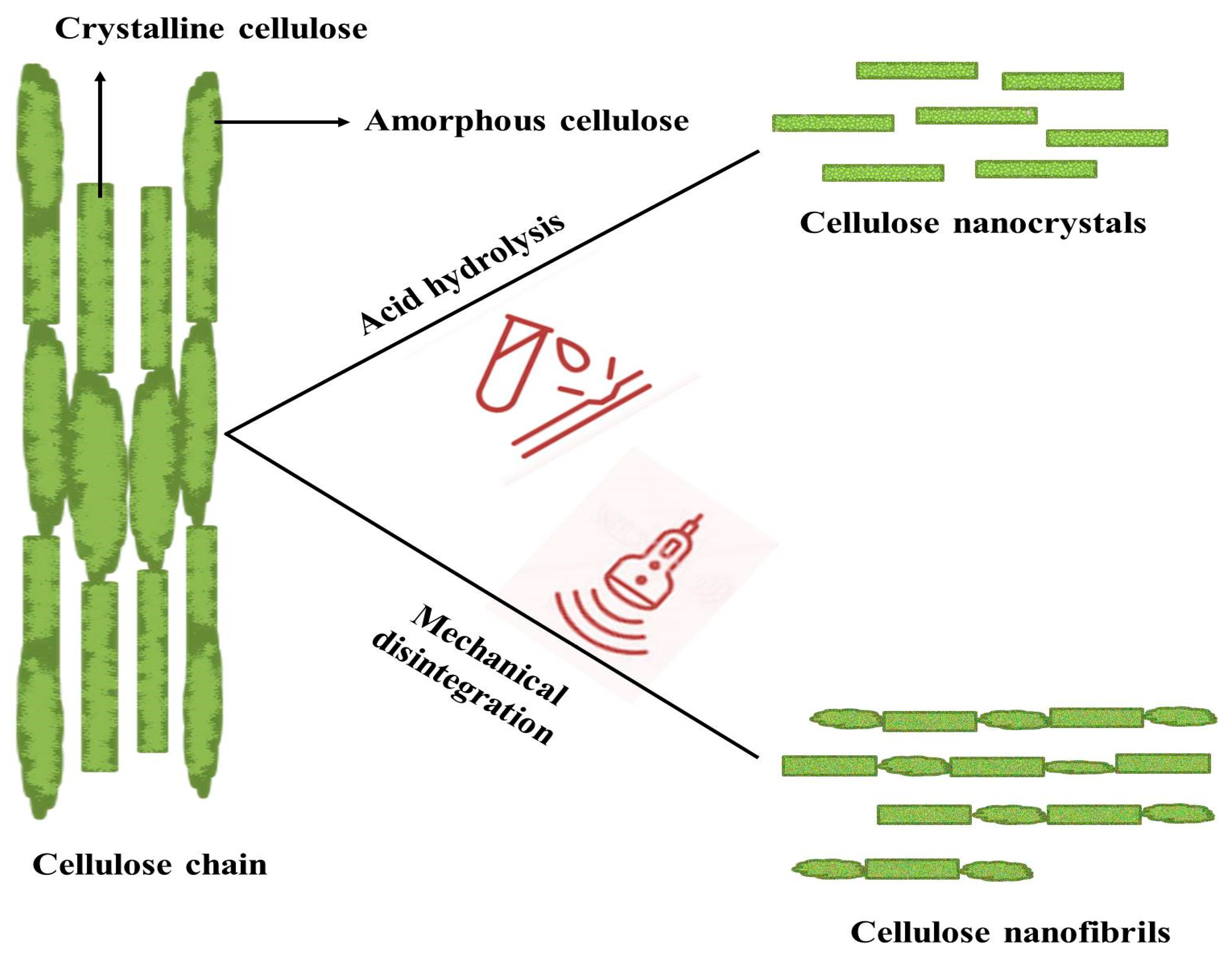 Applsci 13 06159 g002