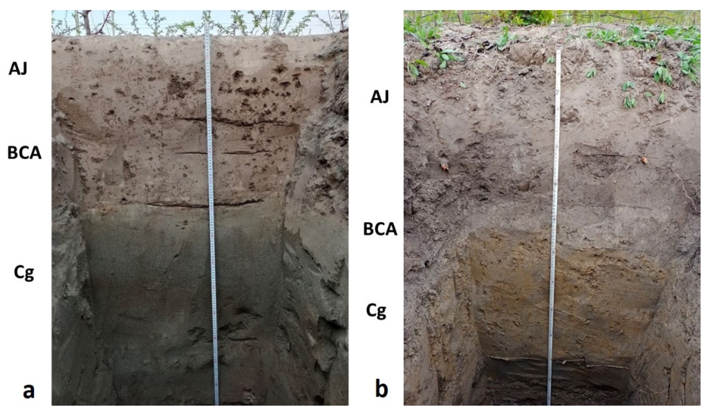 Applsci 13 06188 g002