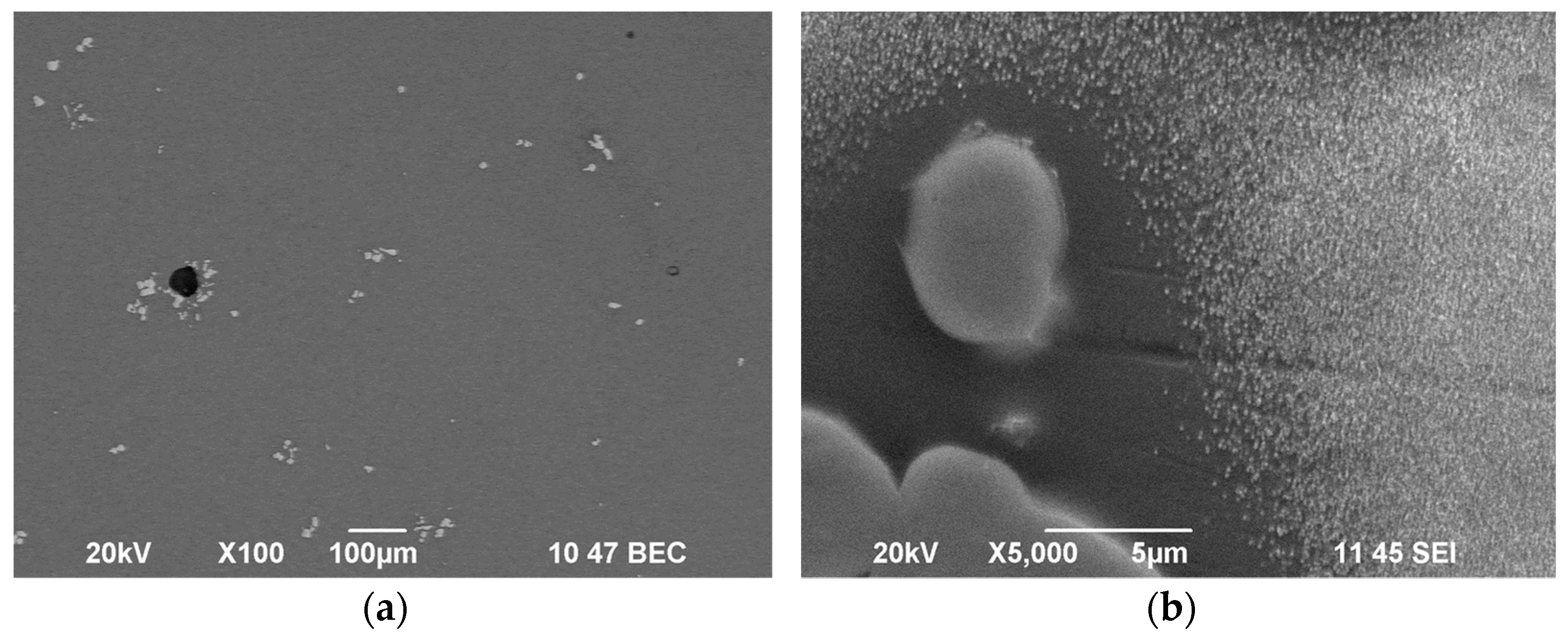 Applsci 13 06206 g004 Applsci 13 06206 g004