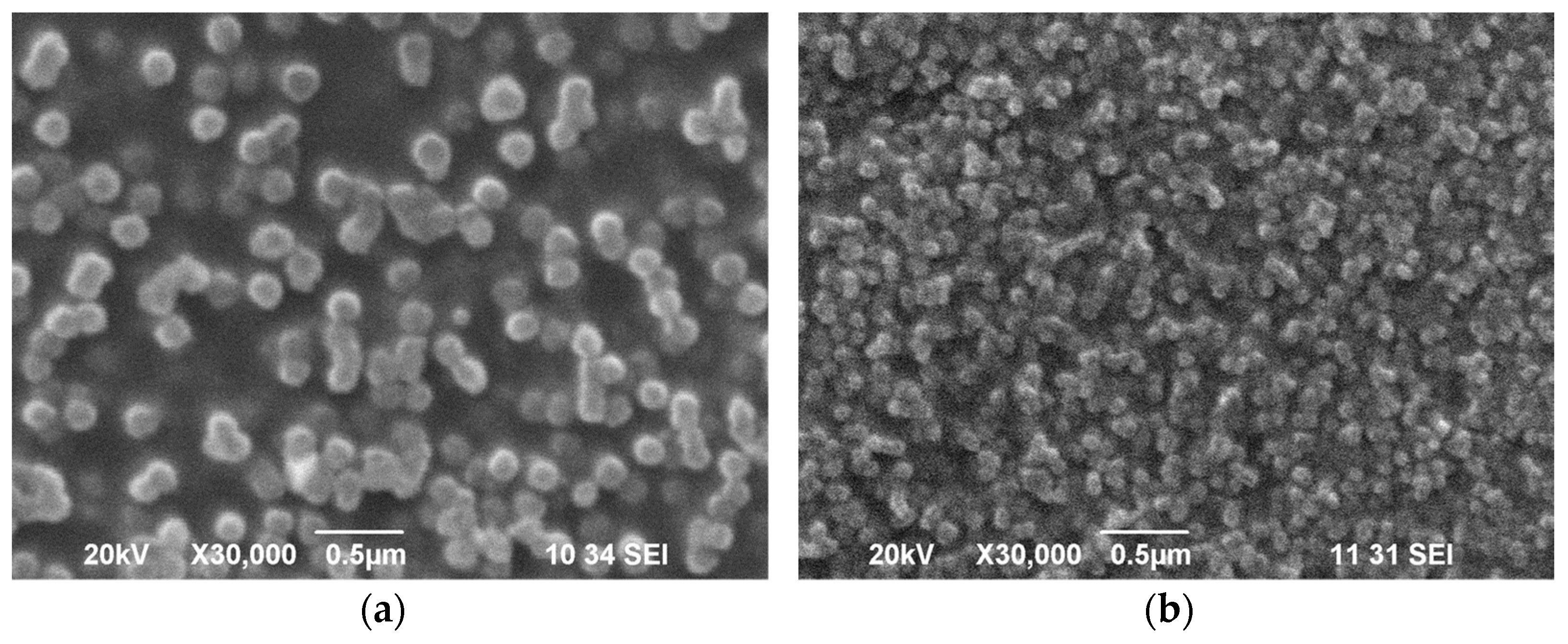 Applsci 13 06206 g005 Applsci 13 06206 g005