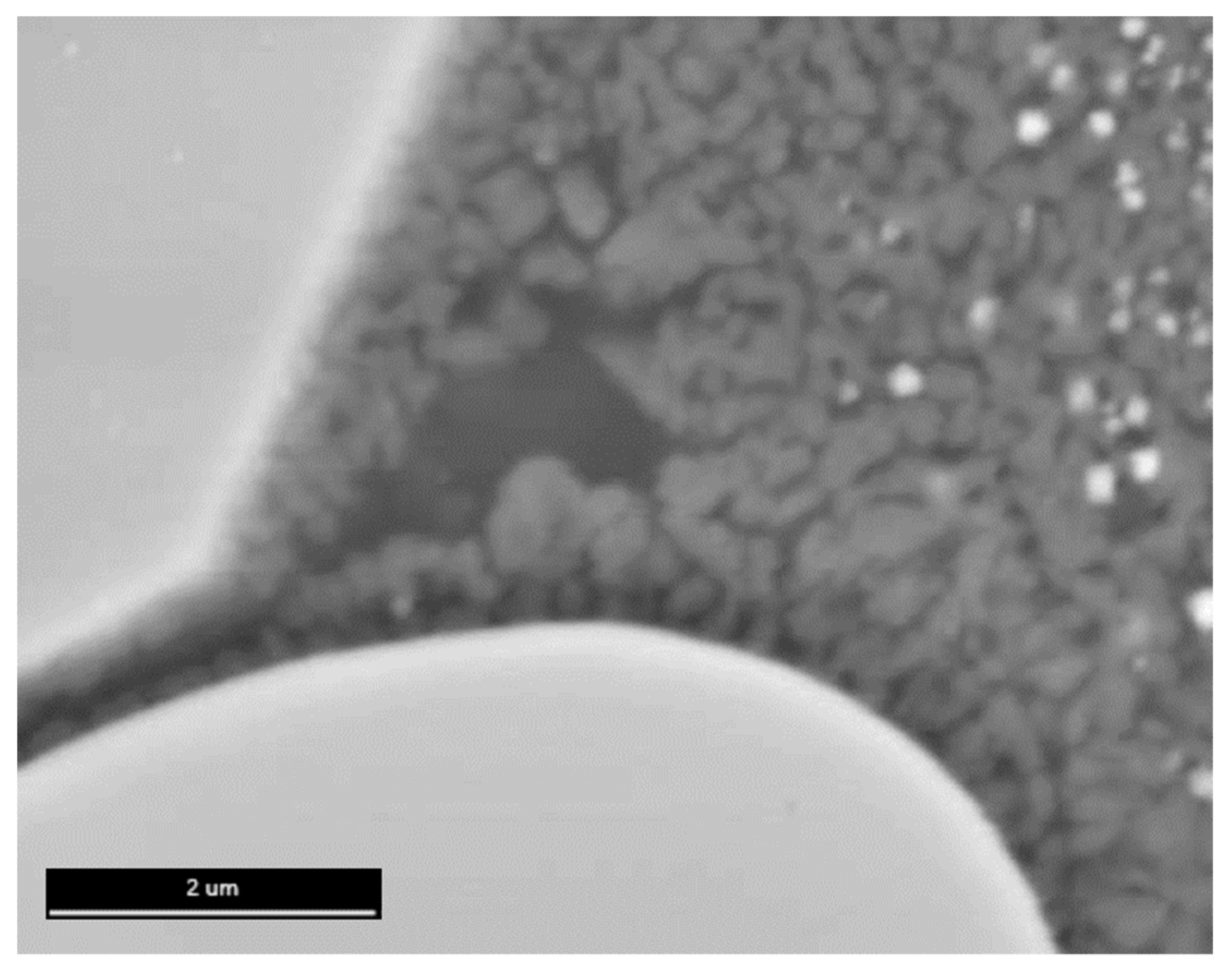 Applsci 13 06206 g008 Applsci 13 06206 g008