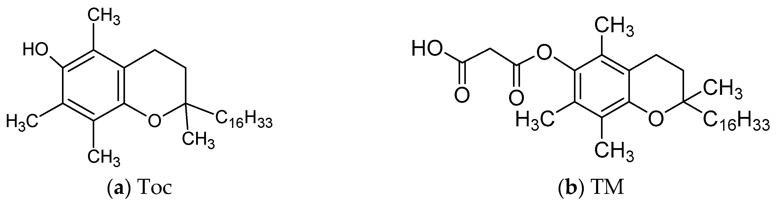 Applsci 13 06219 g001