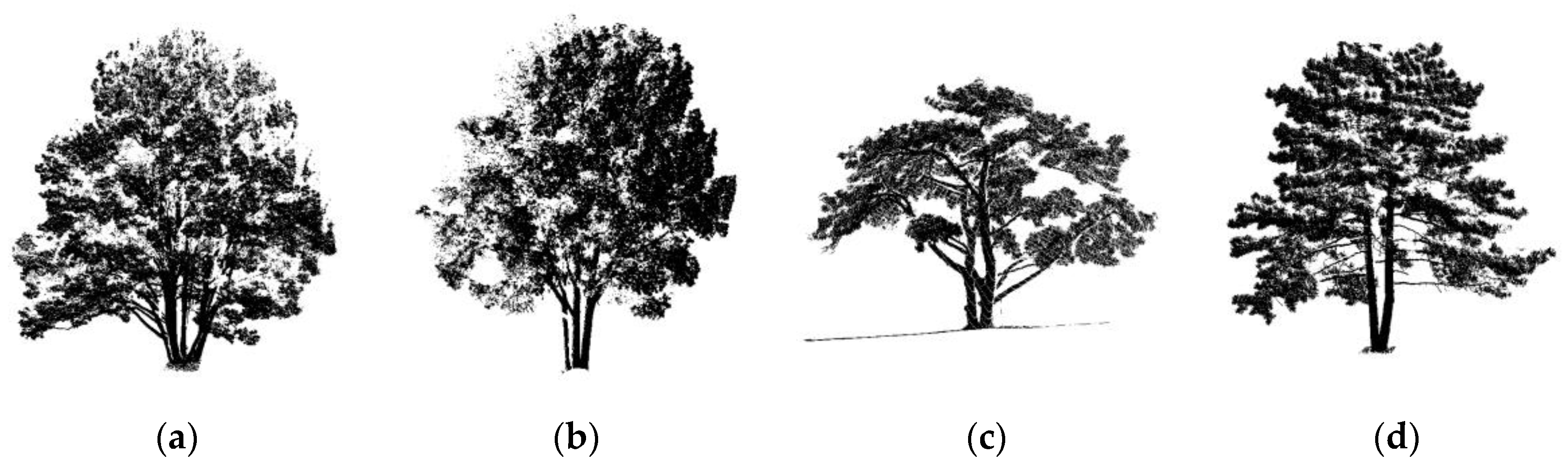 Applsci 13 06228 g001 Applsci 13 06228 g001