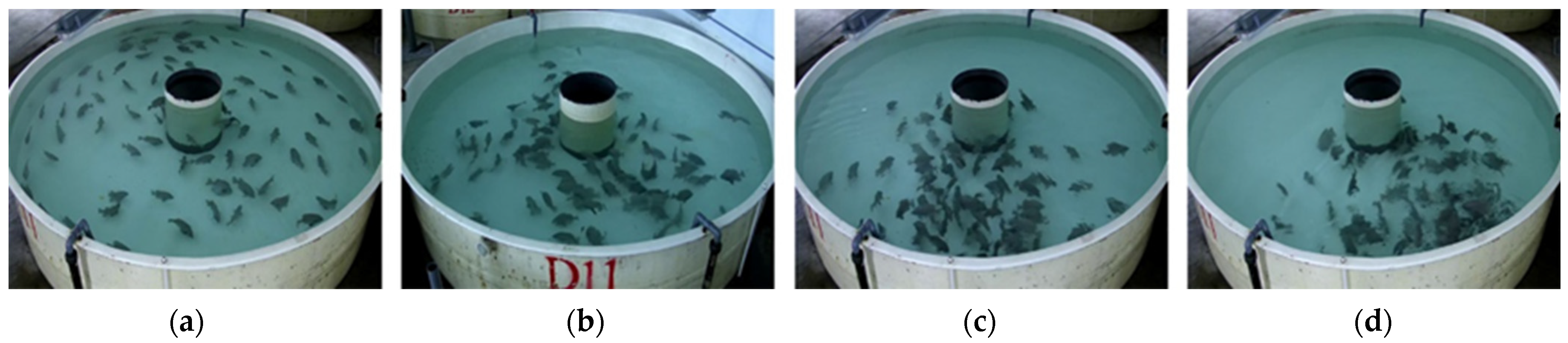 Applsci 13 06235 g001