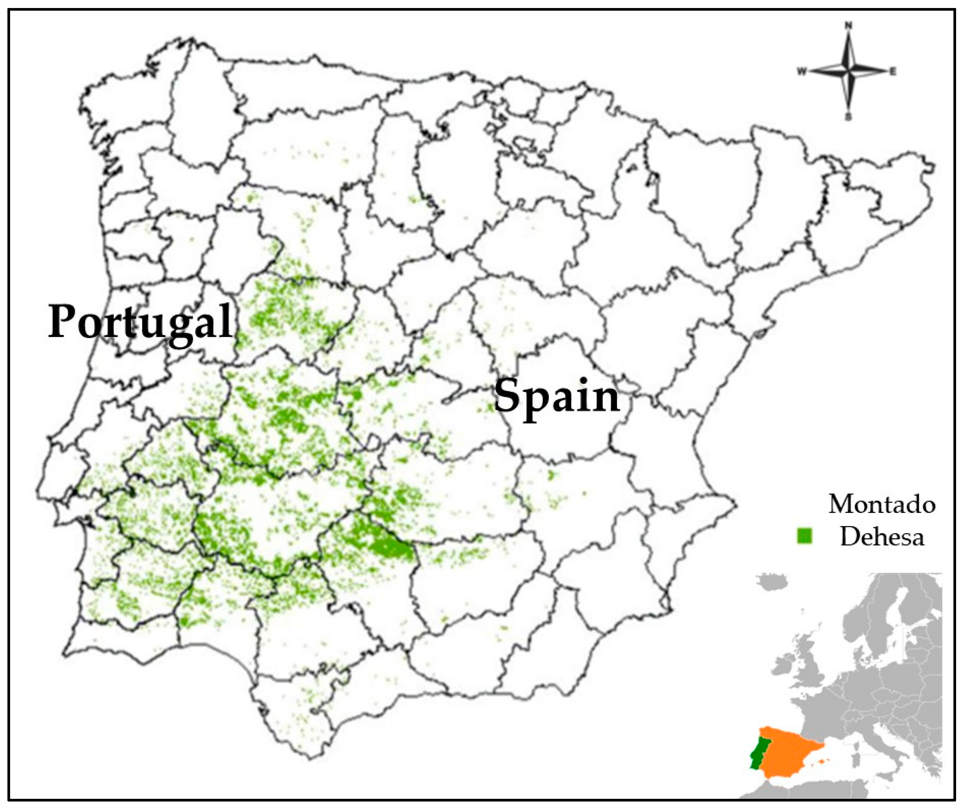 Applsci 13 06242 g001 Applsci 13 06242 g001