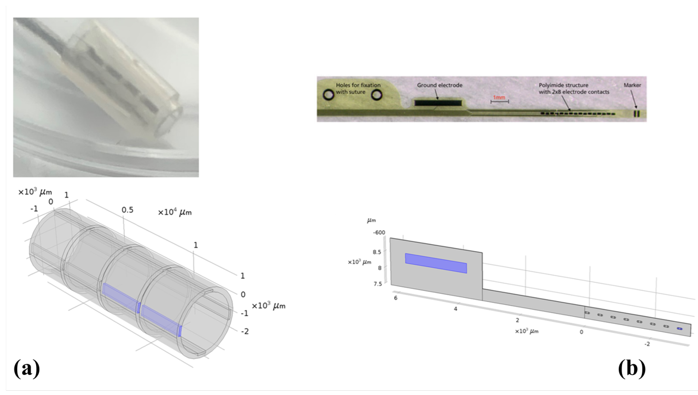Applsci 13 06267 g002