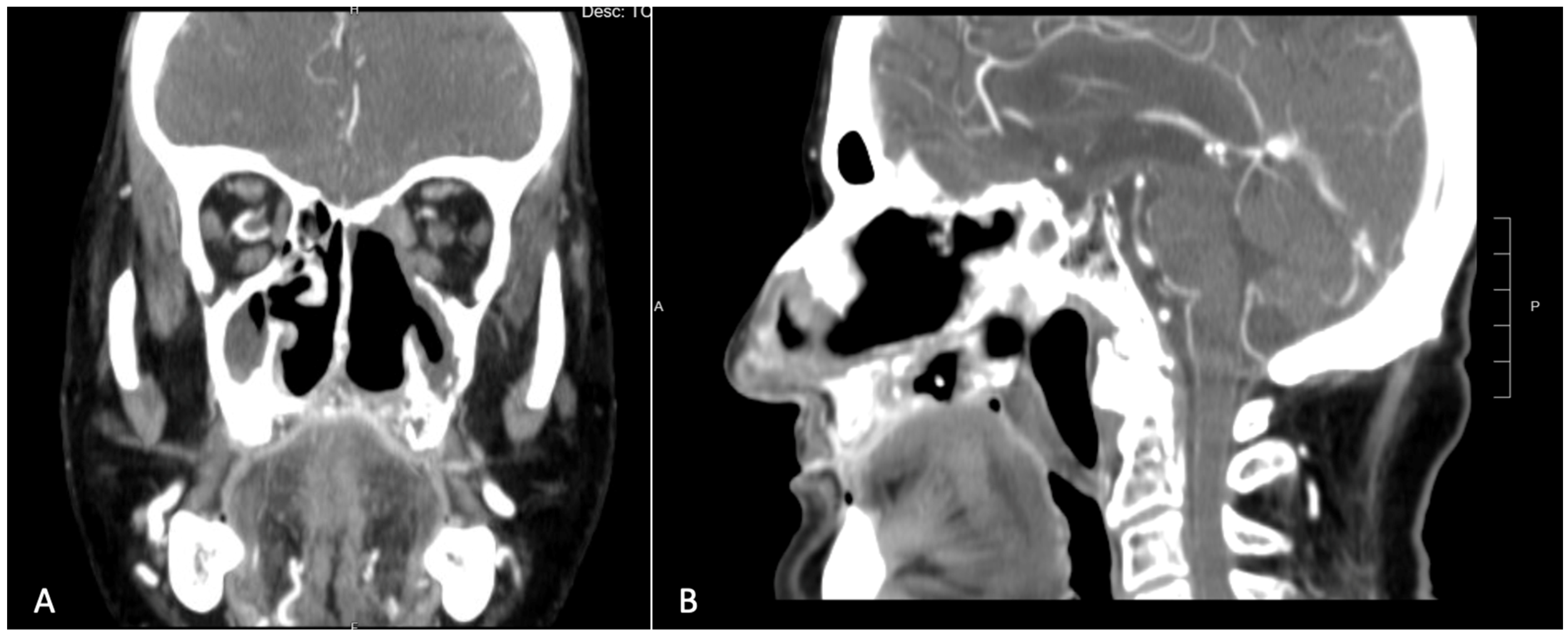 Applsci 13 06269 g002