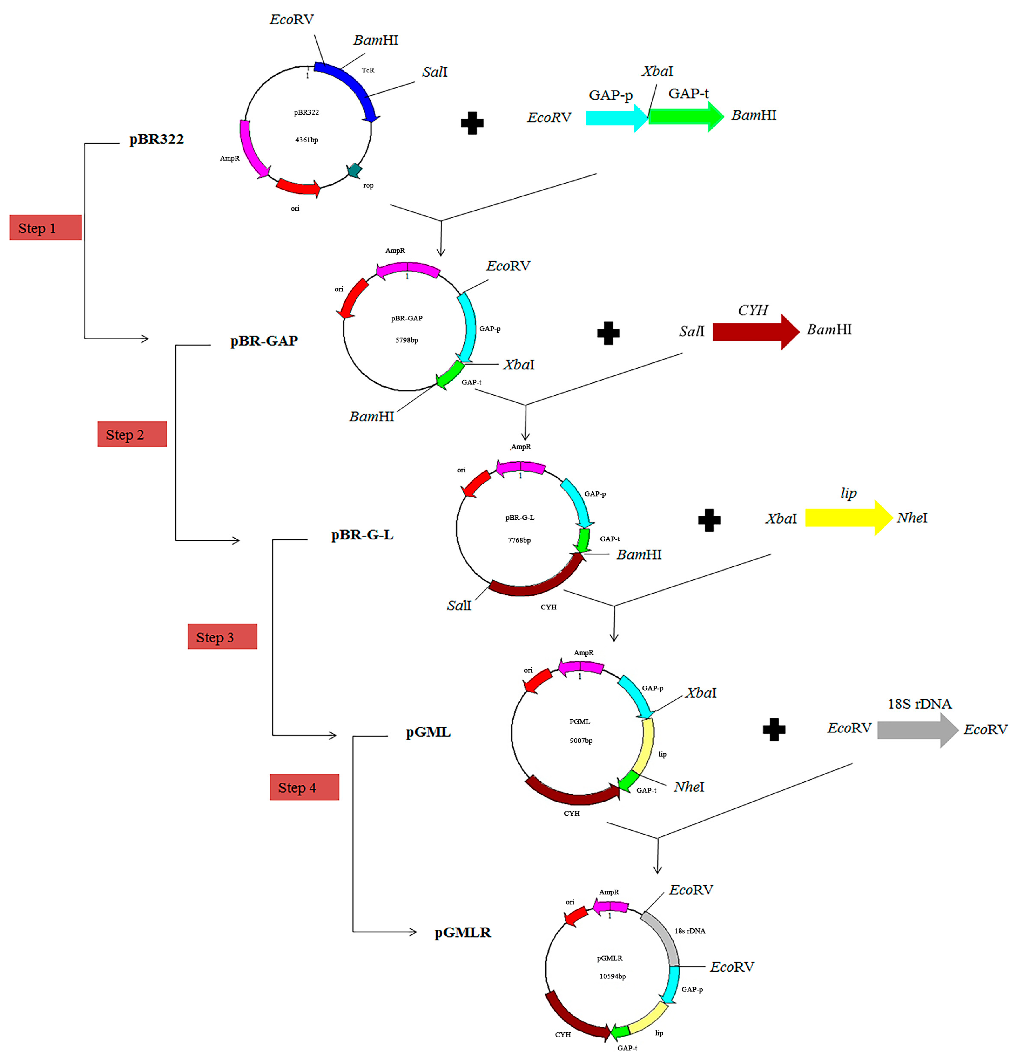 Applsci 13 06277 g001