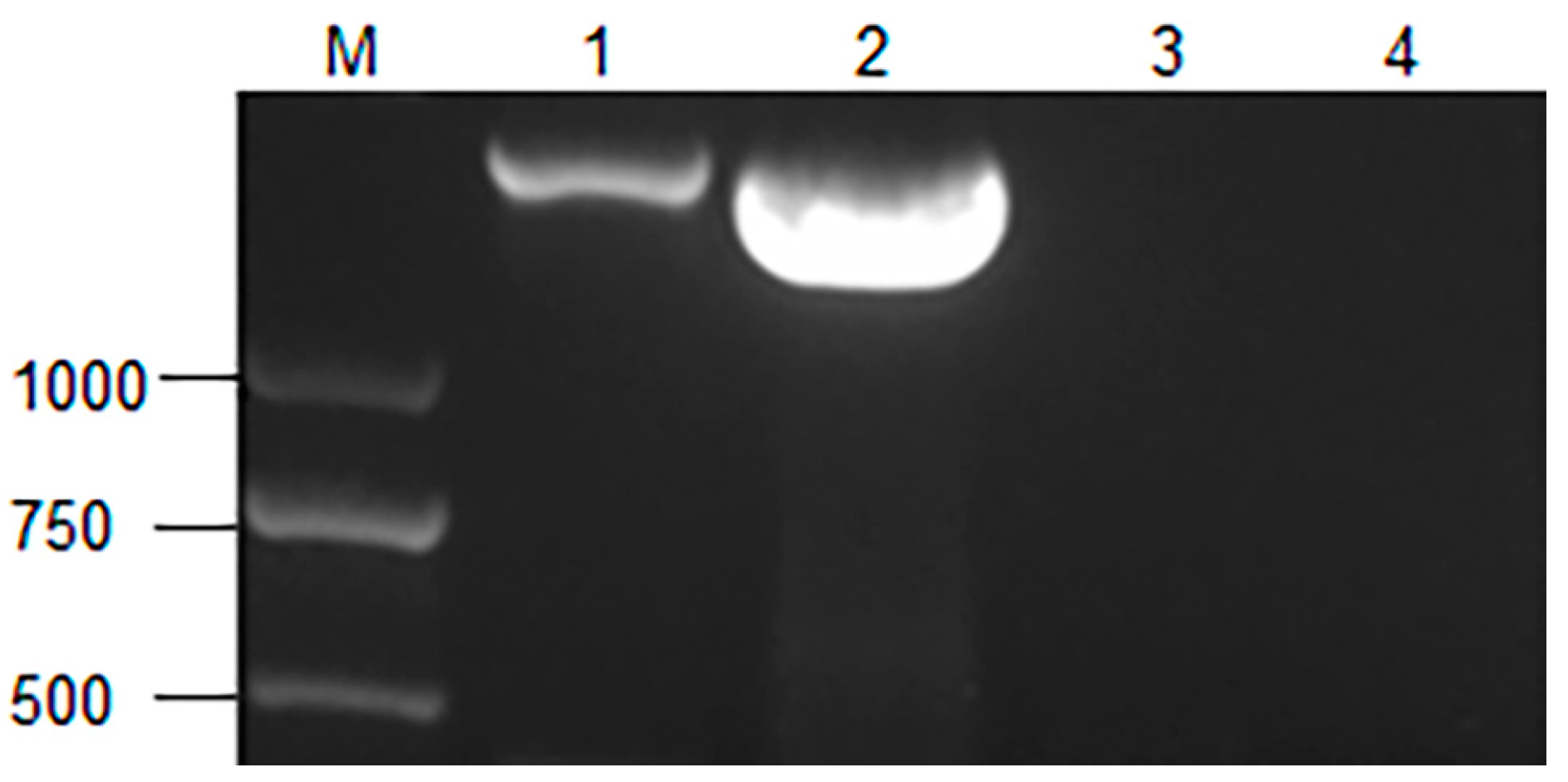 Applsci 13 06277 g005