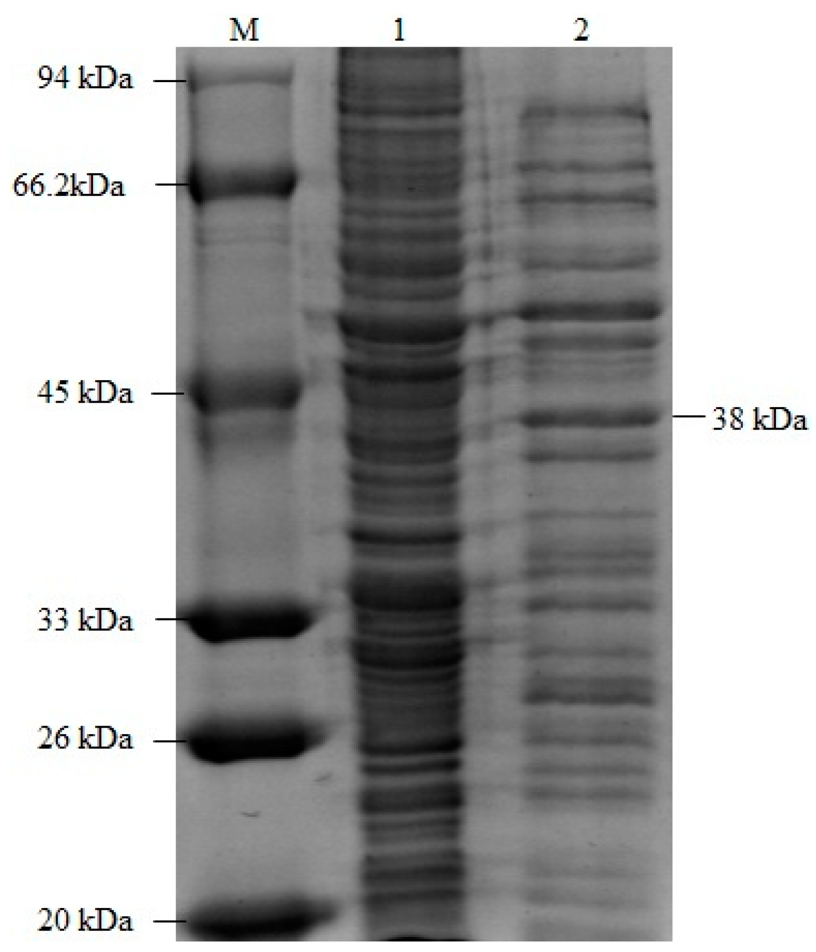 Applsci 13 06277 g006