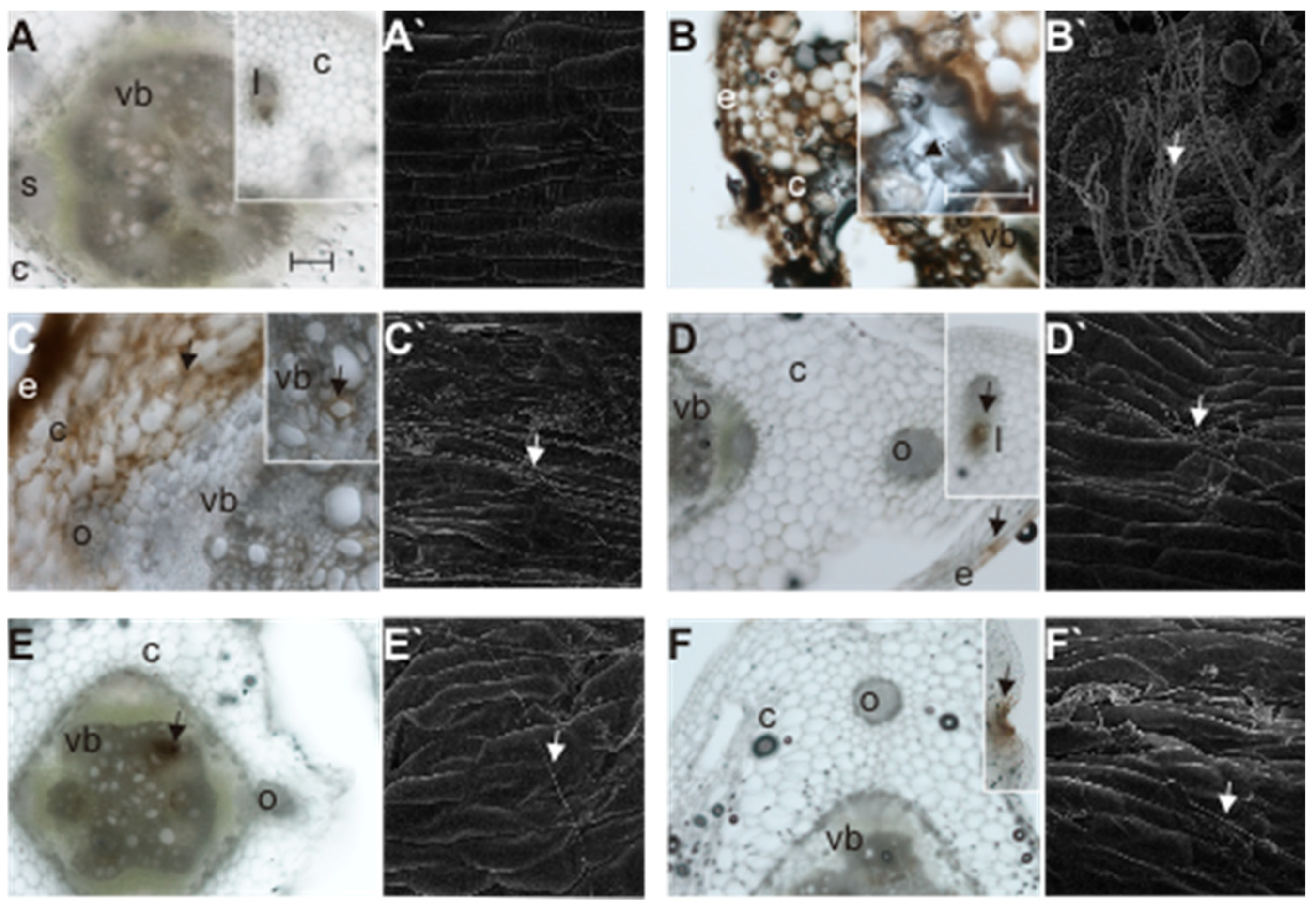 Applsci 13 06282 g006