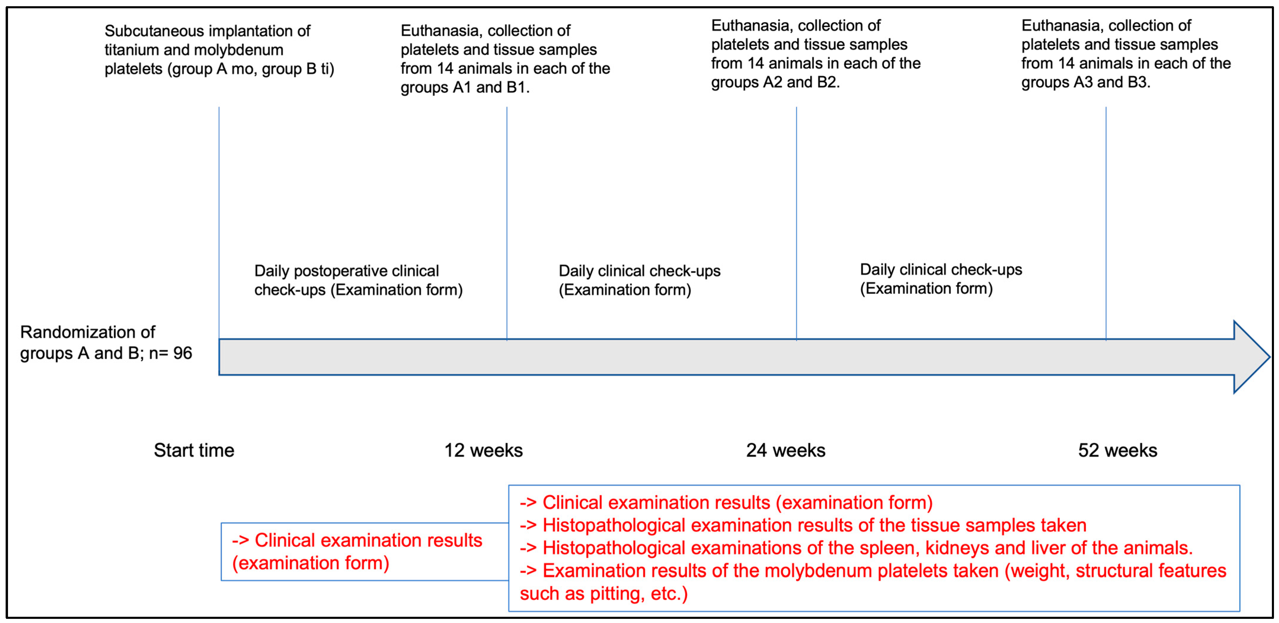 Applsci 13 06312 g001