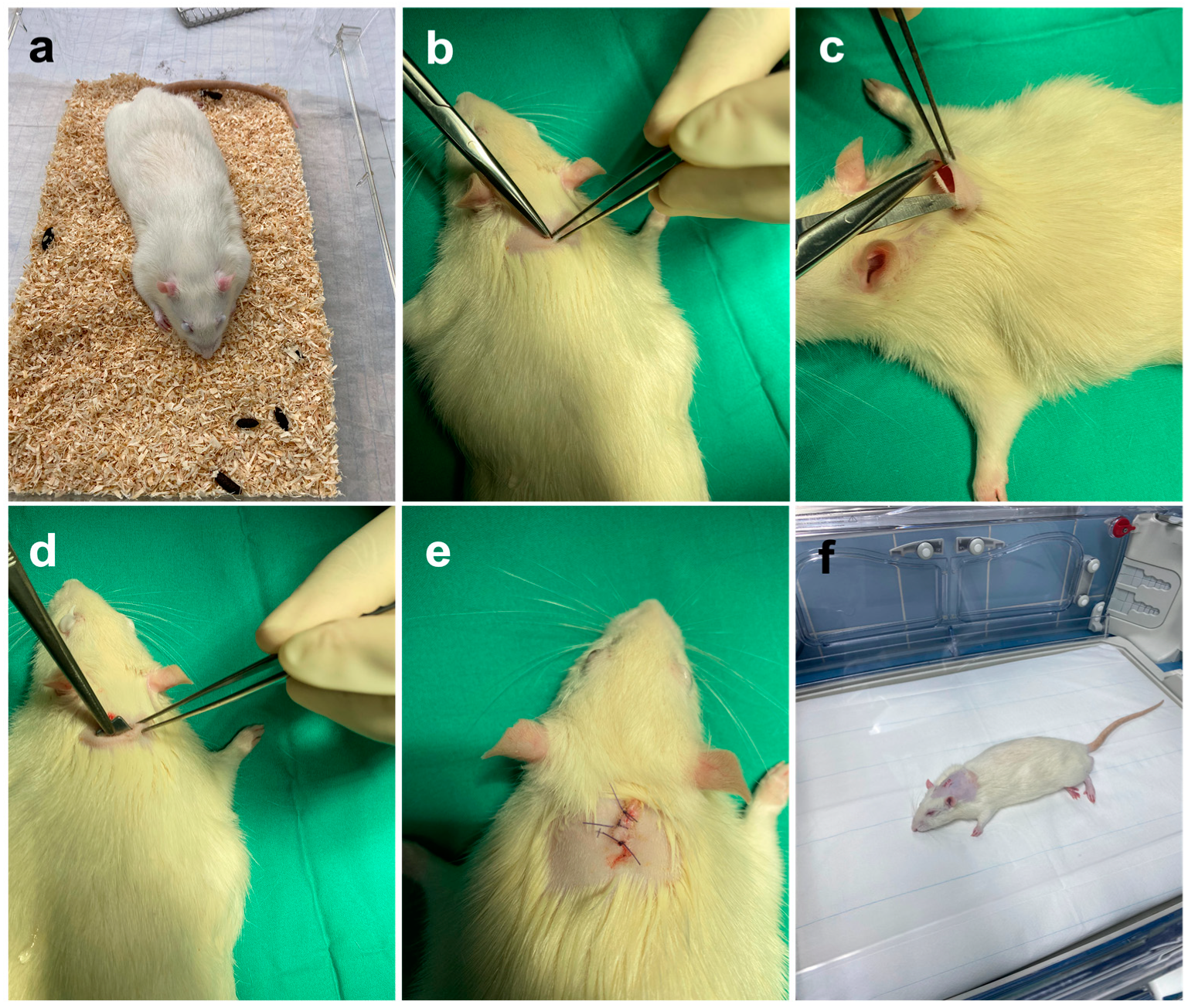 Applsci 13 06312 g002