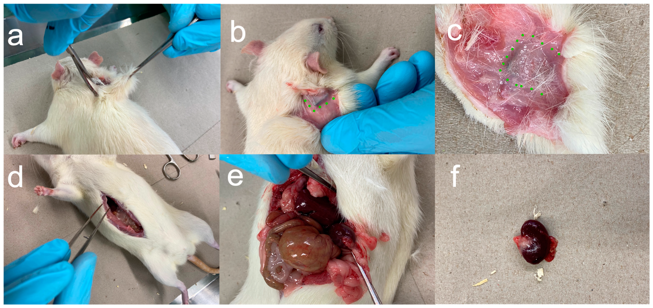 Applsci 13 06312 g003