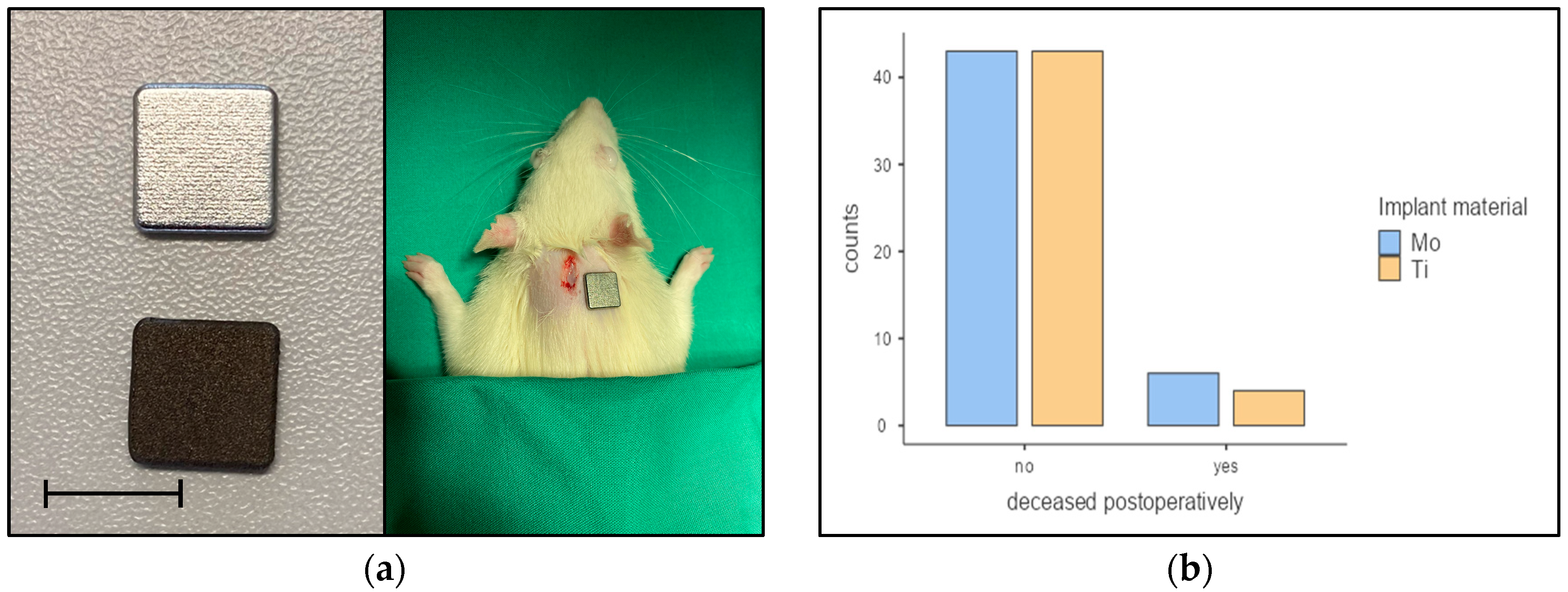Applsci 13 06312 g004