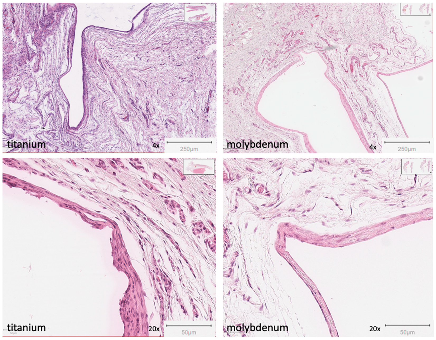 Applsci 13 06312 g008