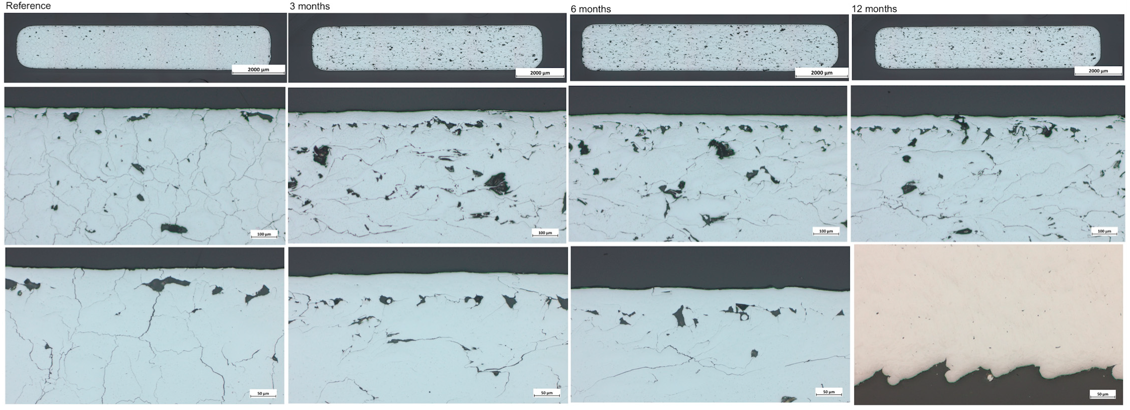 Applsci 13 06312 g011