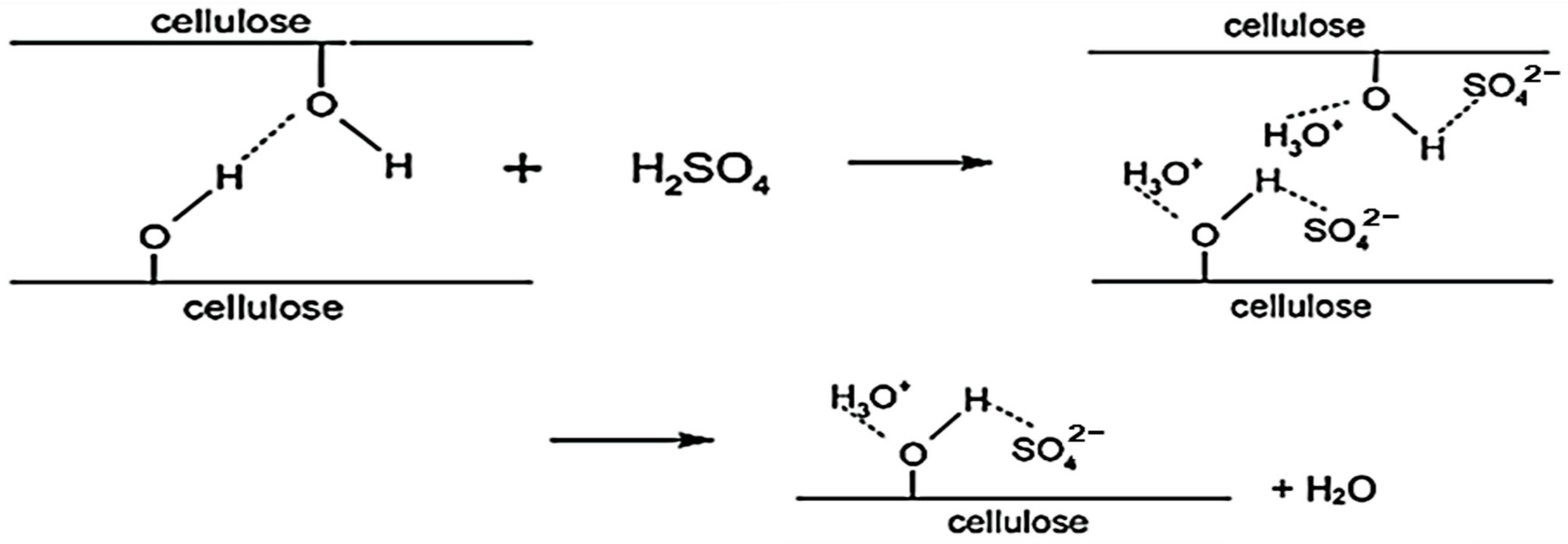 Applsci 13 06316 g001