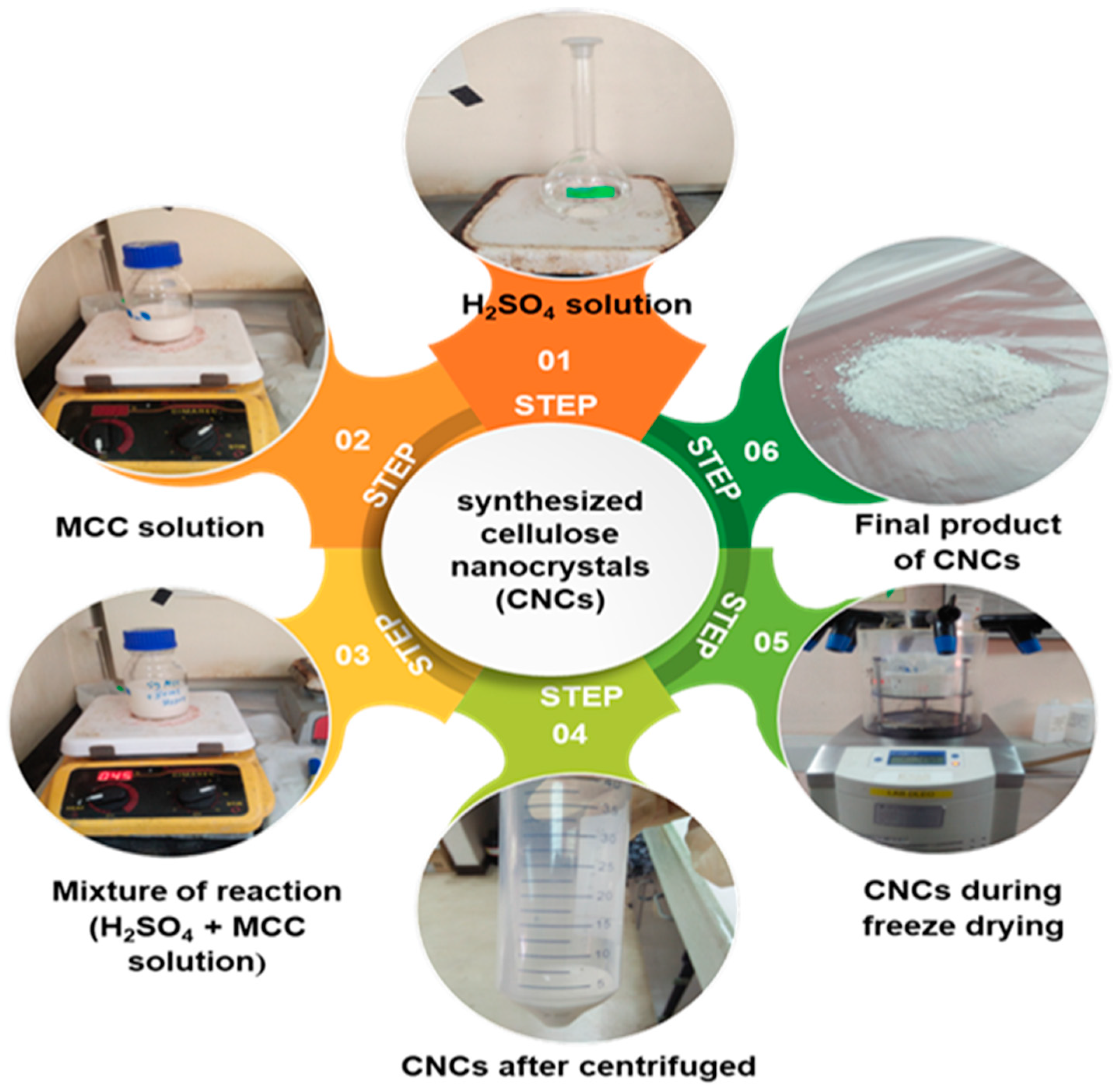 Applsci 13 06316 g002