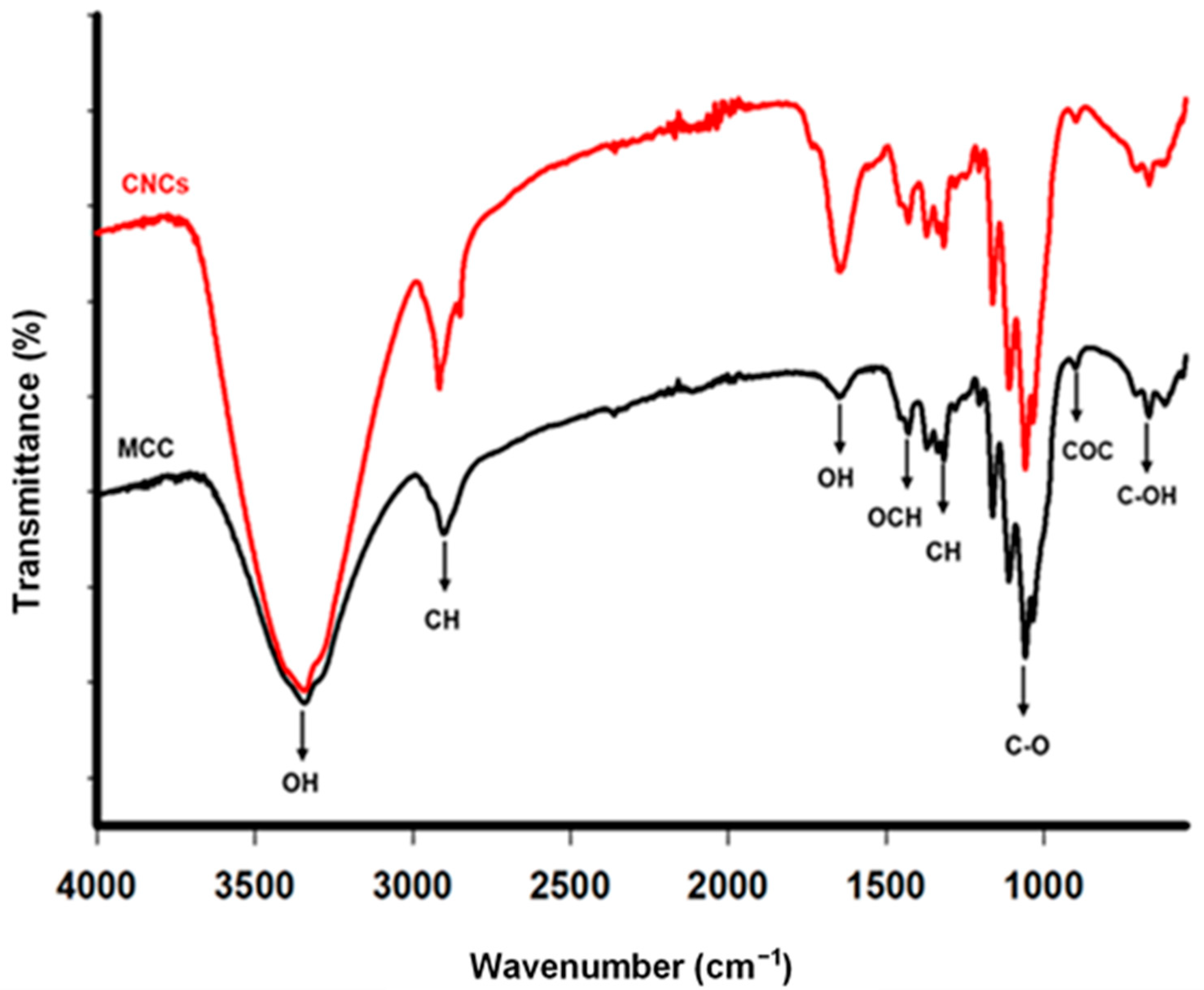Applsci 13 06316 g005