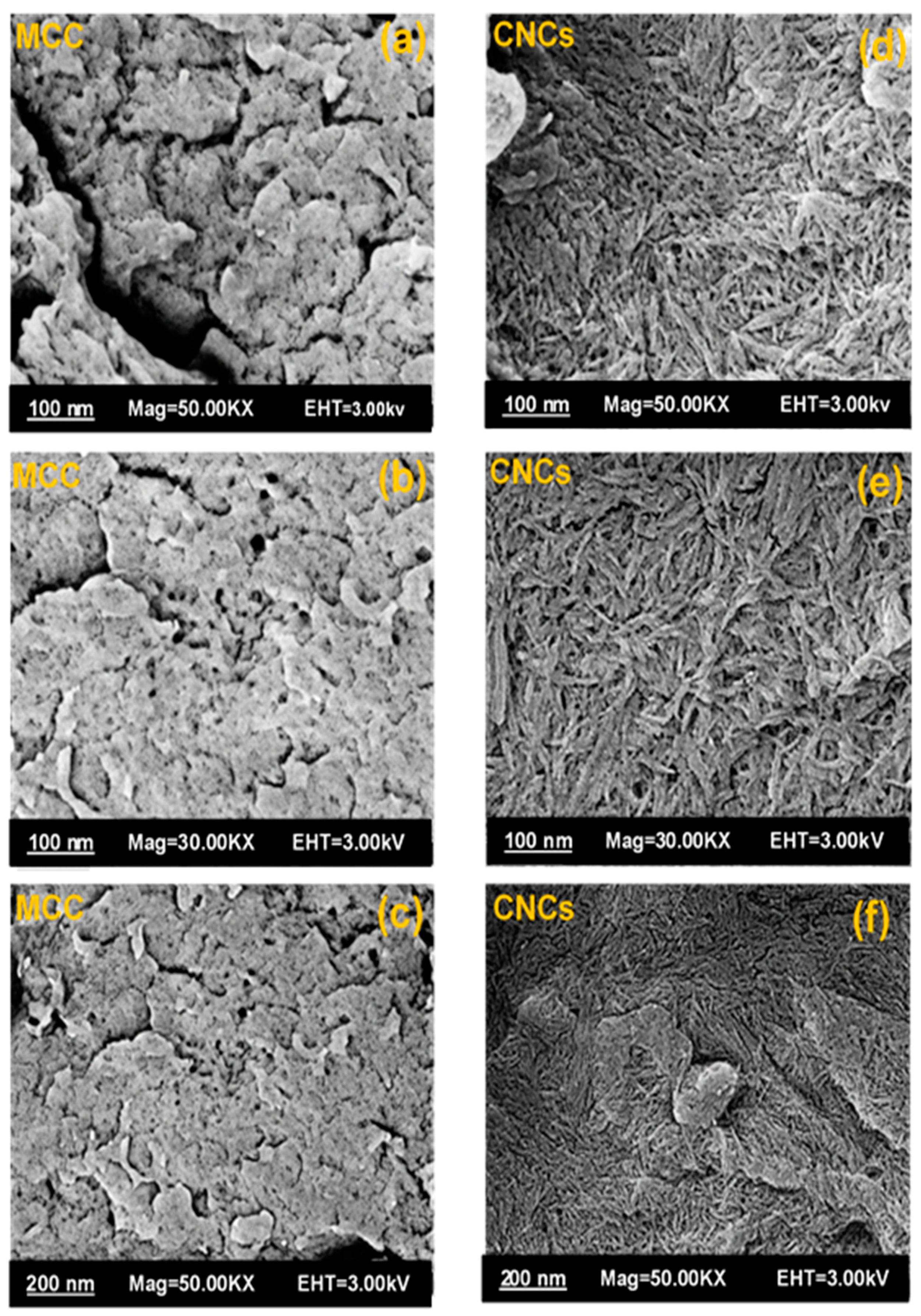 Applsci 13 06316 g008