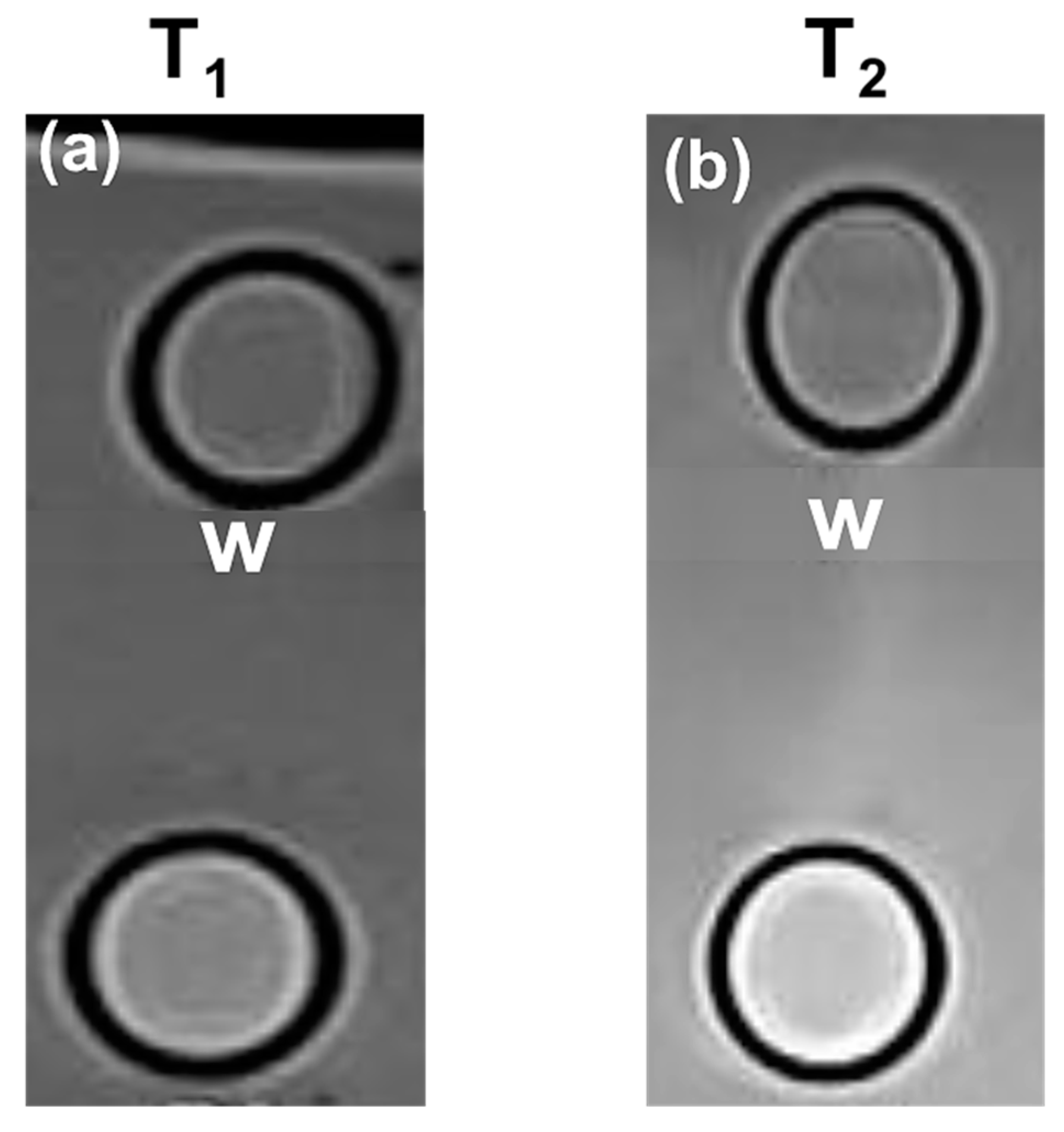 Applsci 13 06316 g015