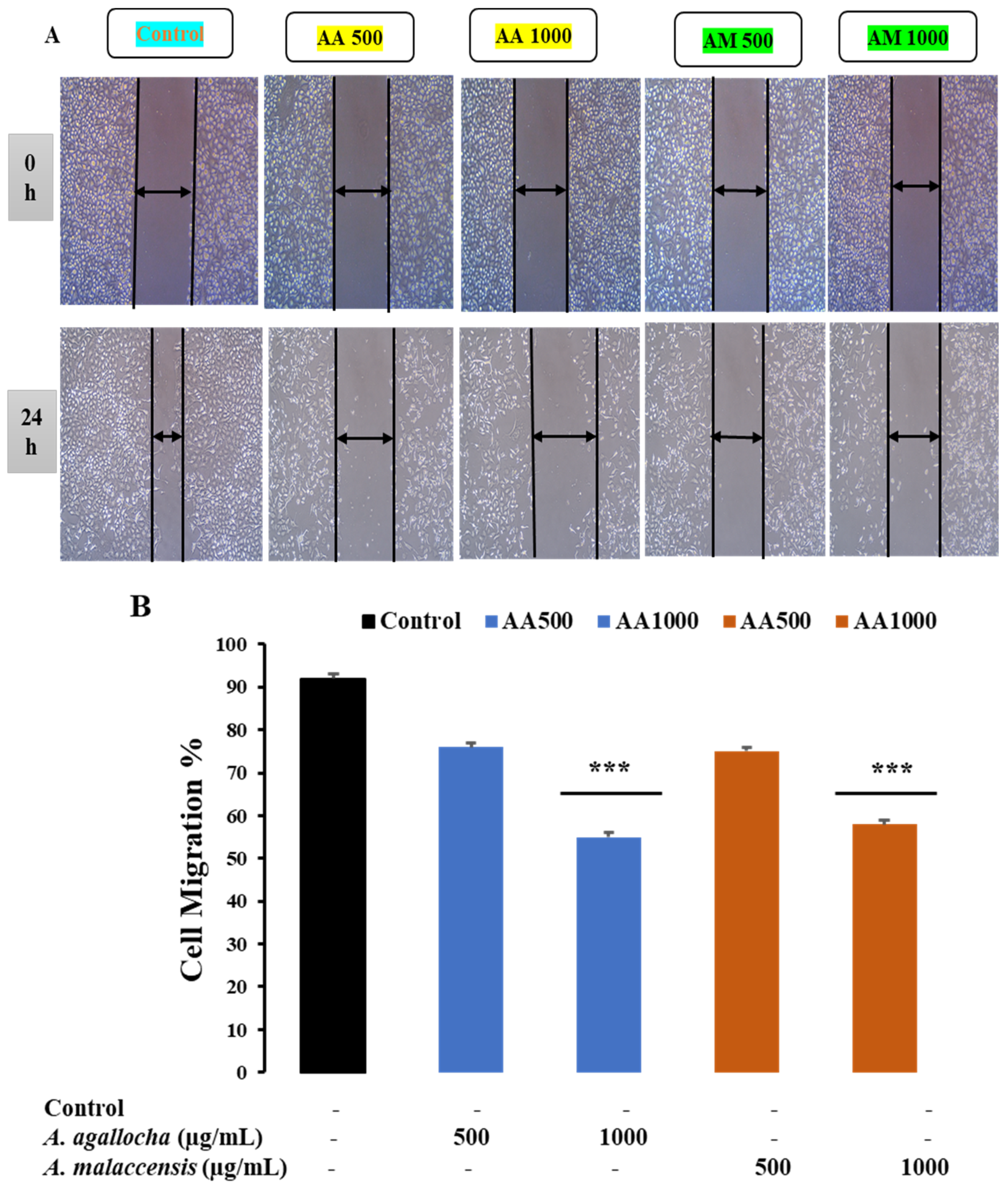Applsci 13 06321 g008 Applsci 13 06321 g008