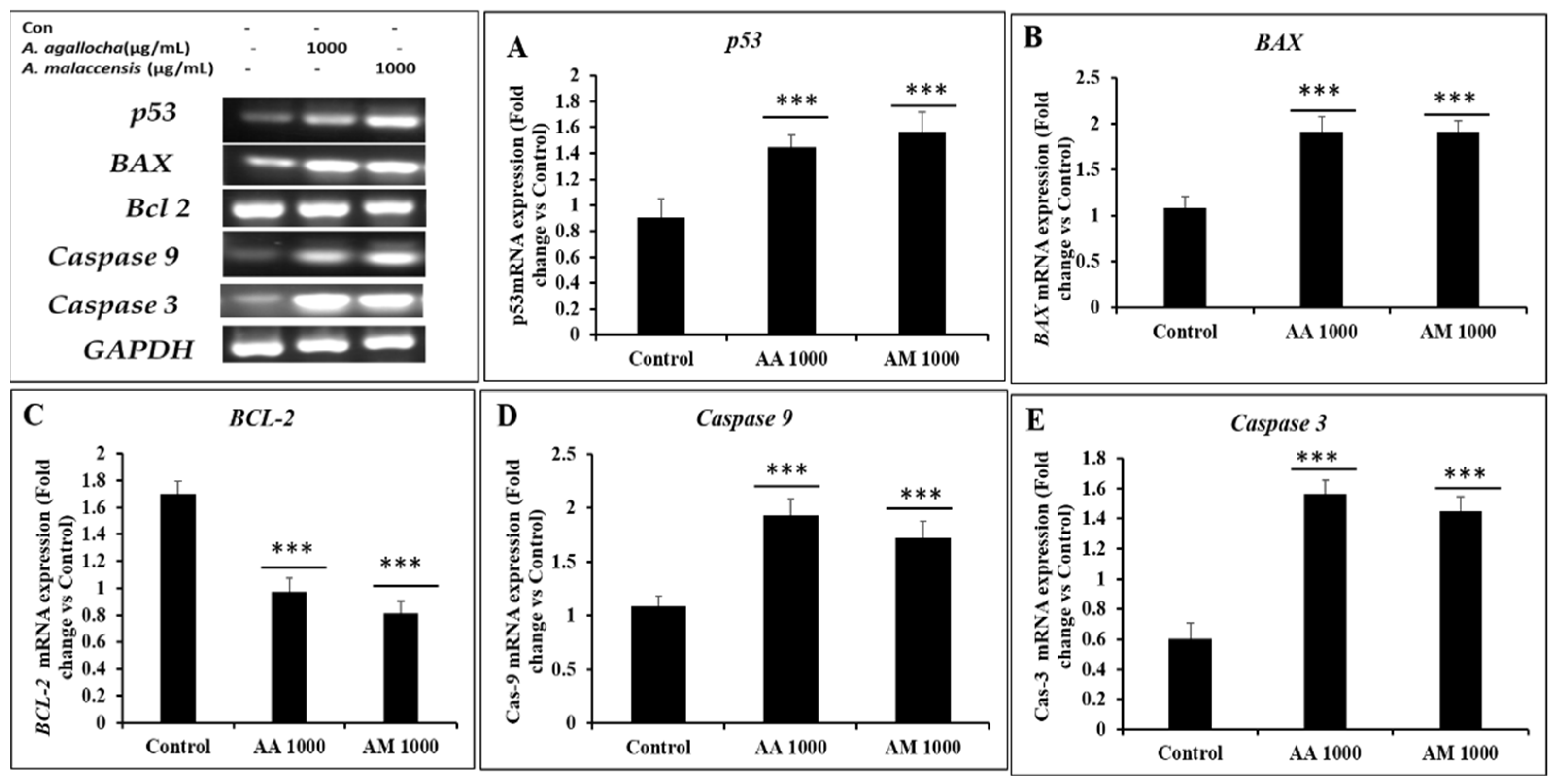 Applsci 13 06321 g009 Applsci 13 06321 g009