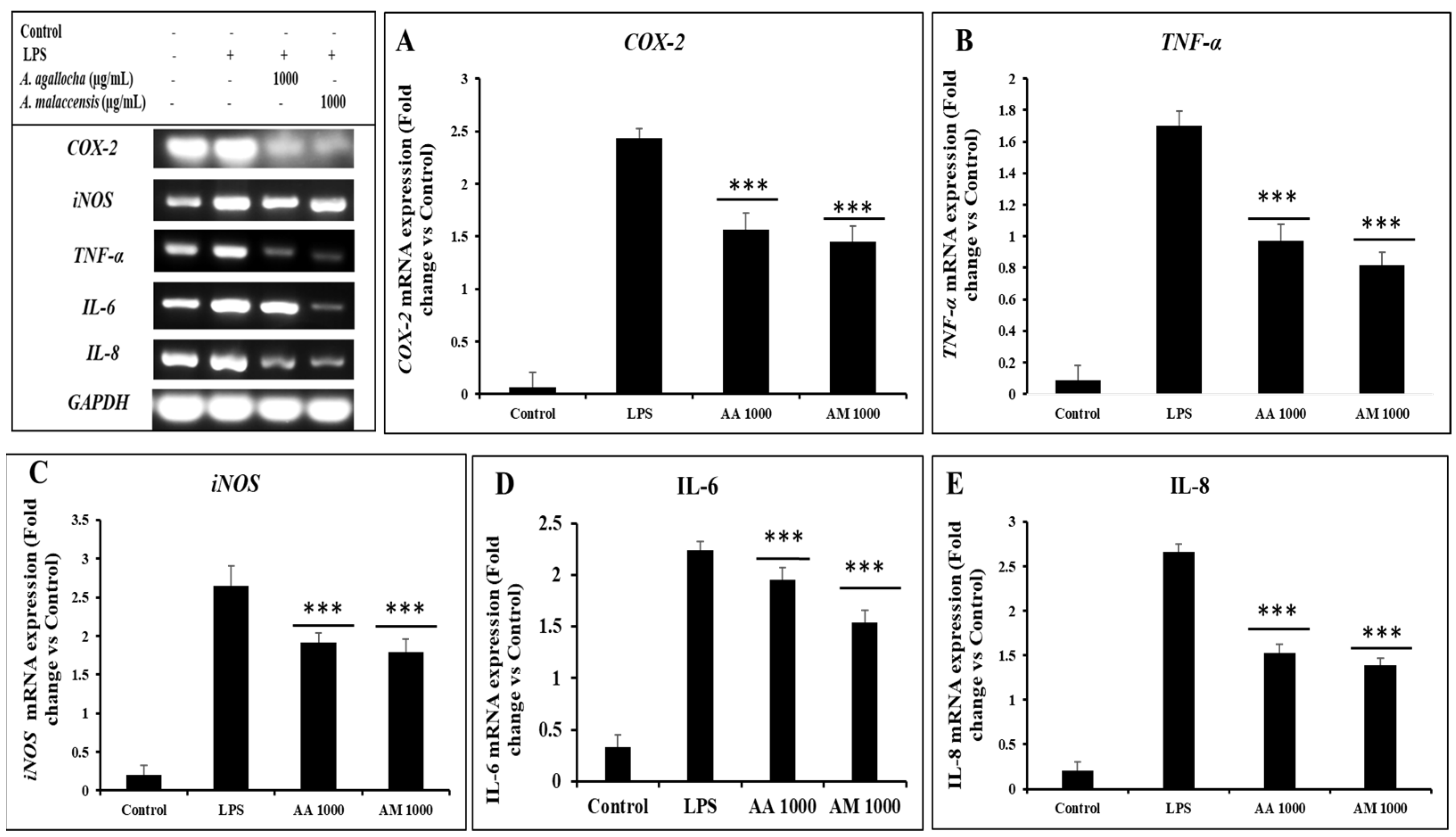 Applsci 13 06321 g010 Applsci 13 06321 g010