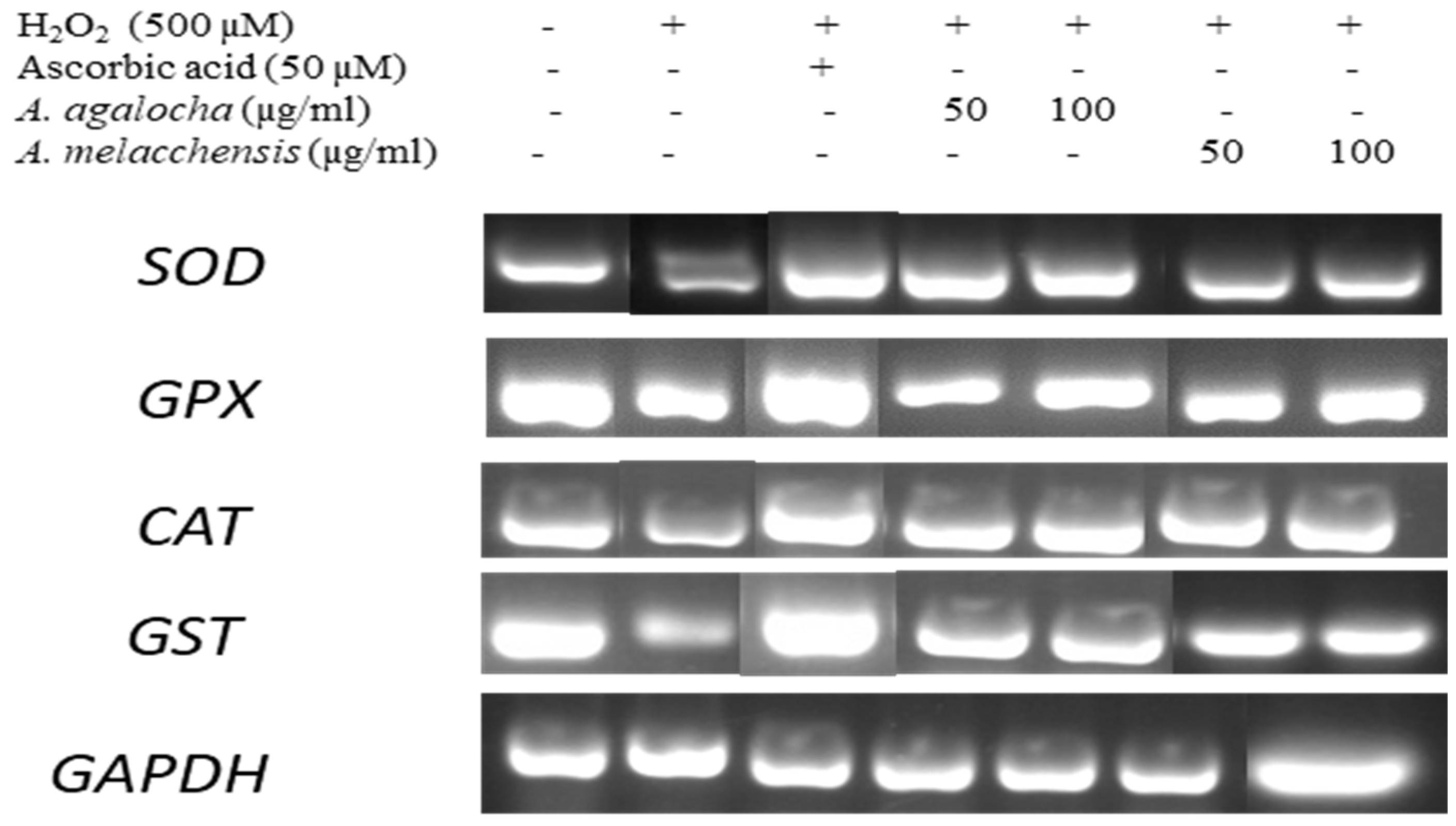 Applsci 13 06321 g012 Applsci 13 06321 g012