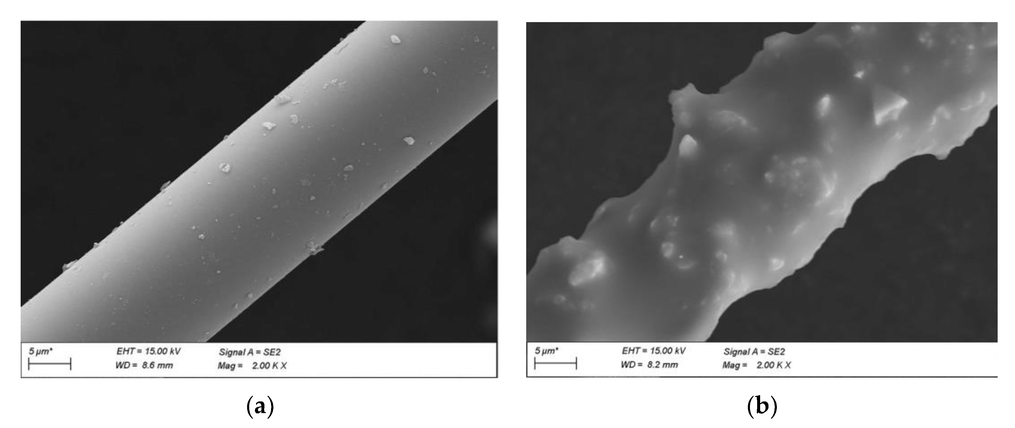 Applsci 13 06335 g010