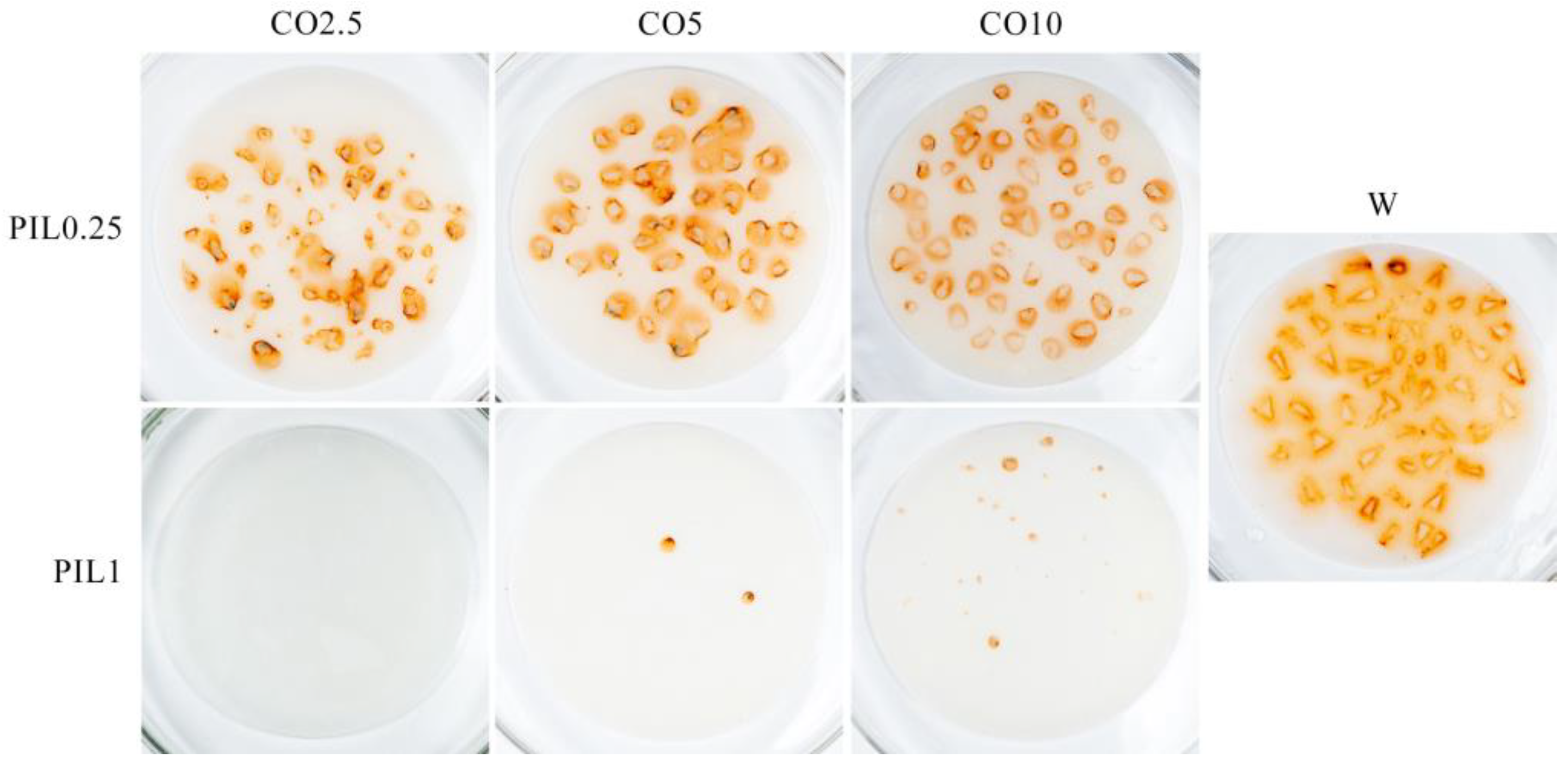 Applsci 13 06336 g006