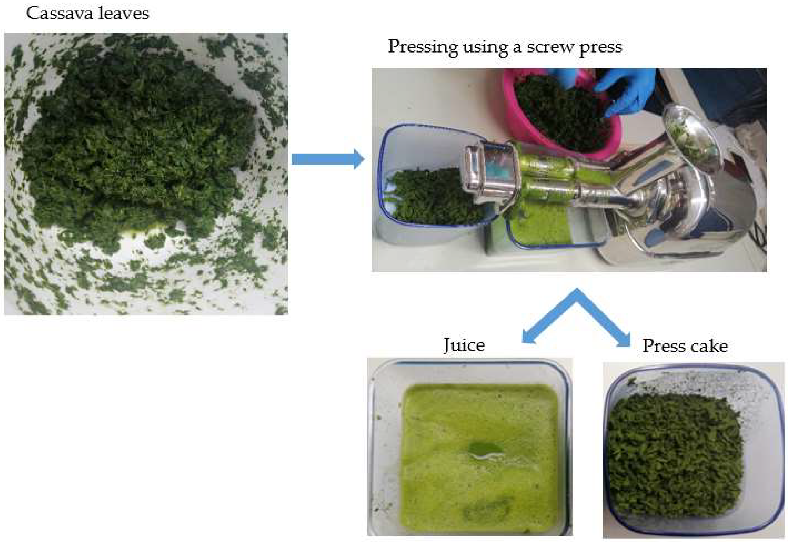 Applsci 13 06340 g001 Applsci 13 06340 g001