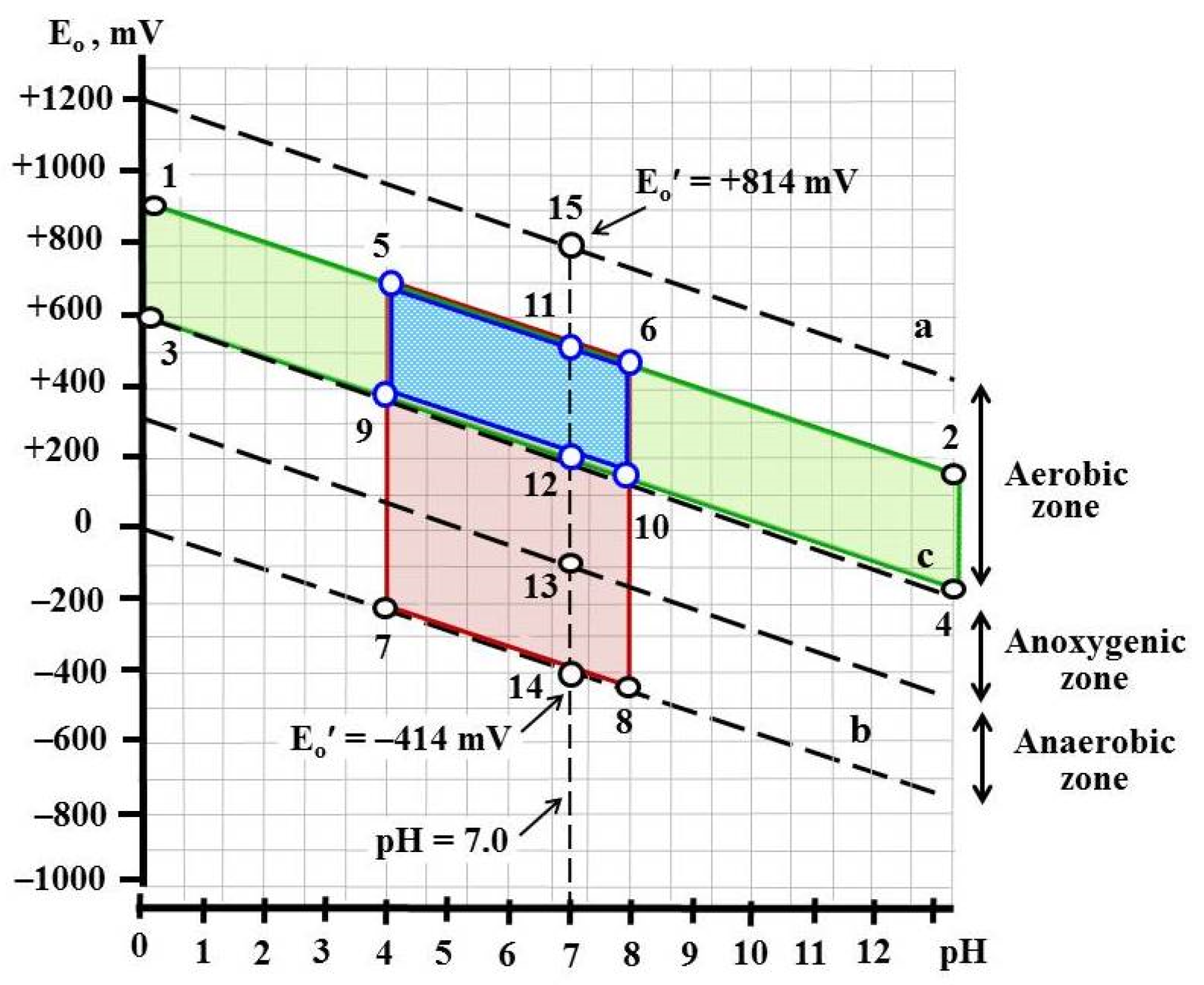 Applsci 13 06362 g001