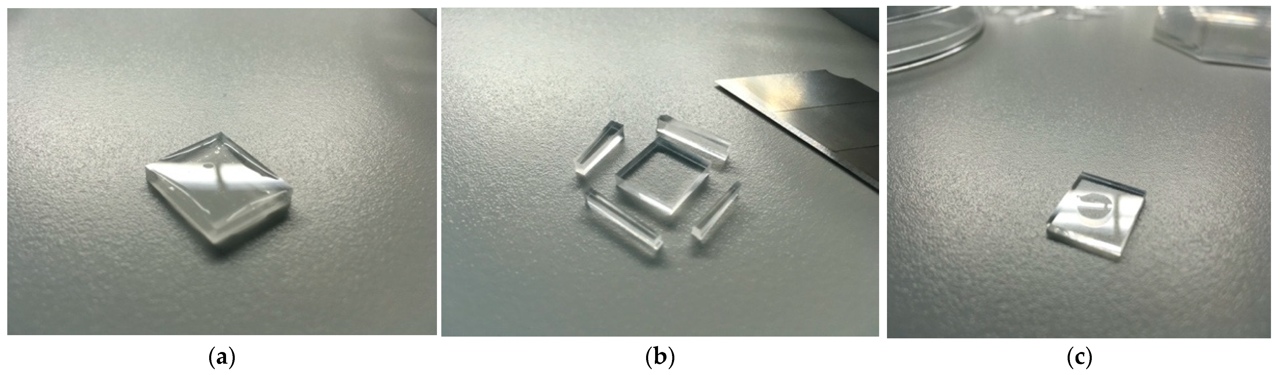 Applsci 13 06365 g003