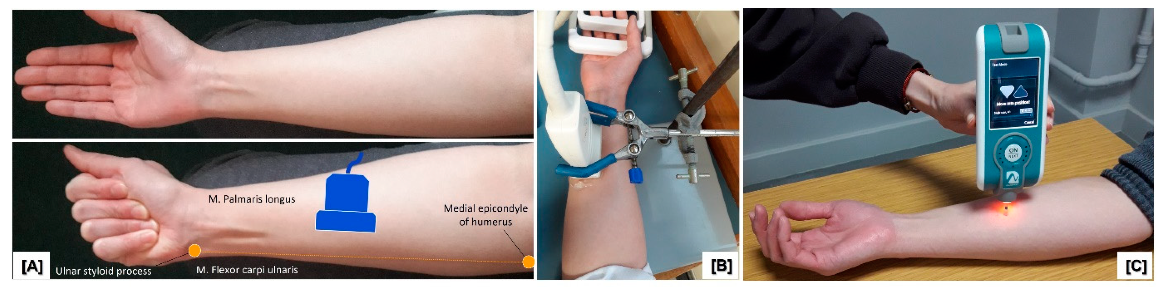 Applsci 13 06384 g001