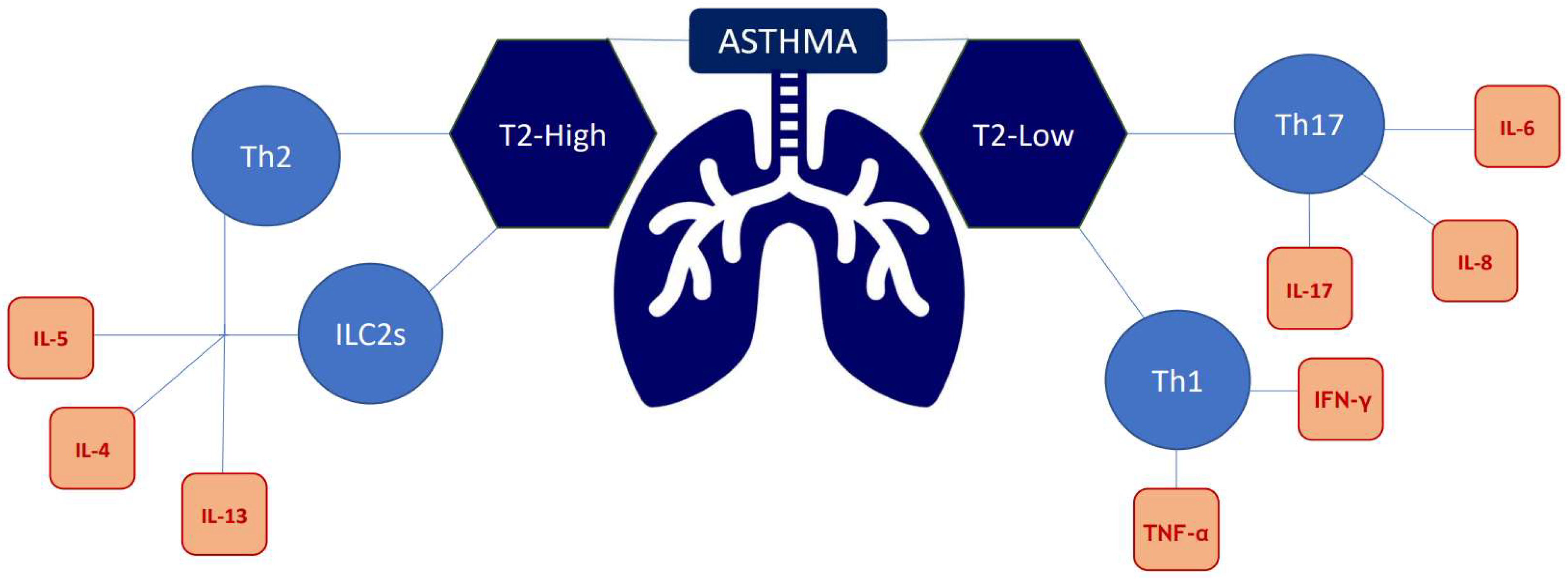 Applsci 13 06398 g001 Applsci 13 06398 g001