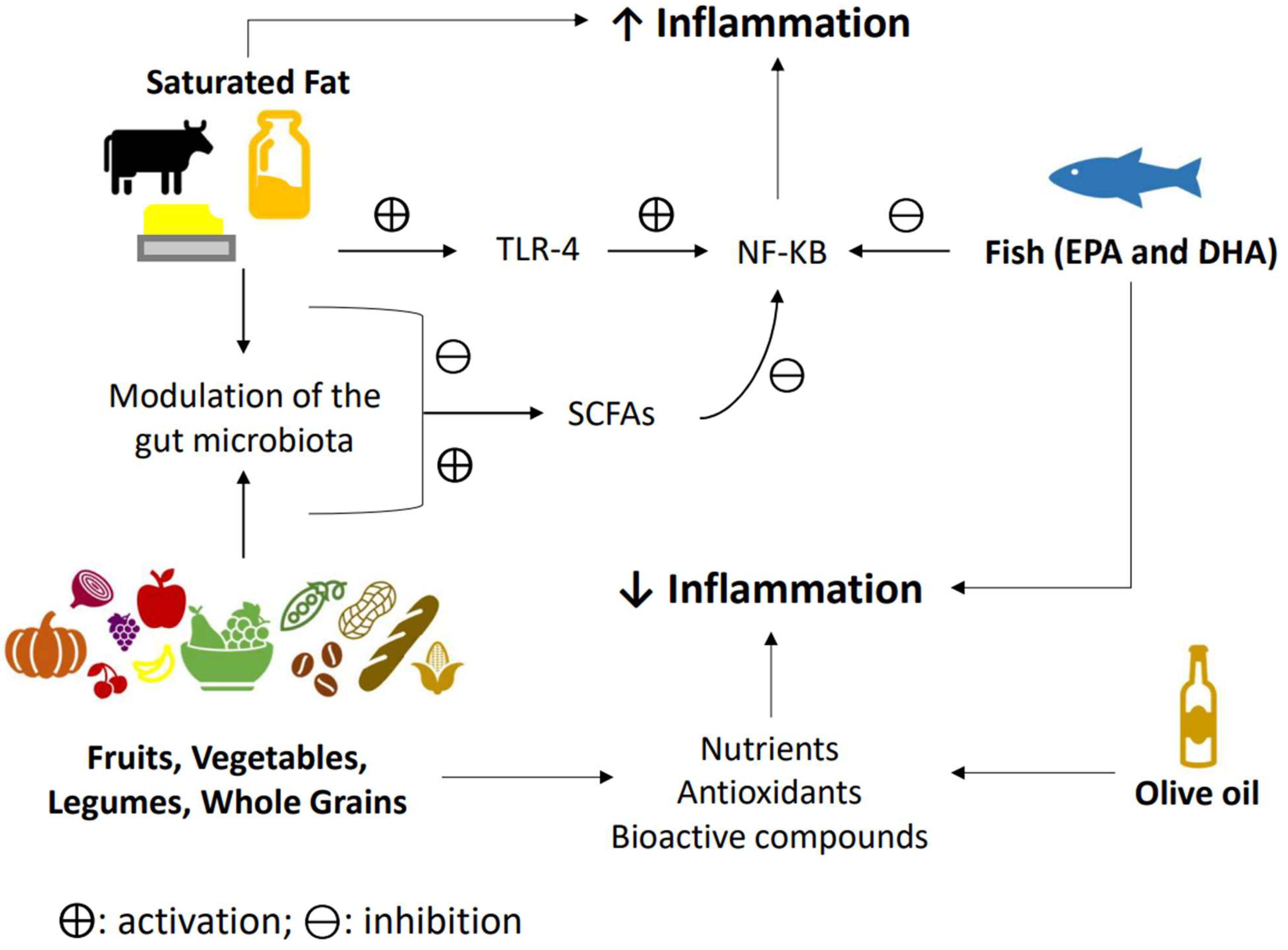Applsci 13 06398 g003 Applsci 13 06398 g003