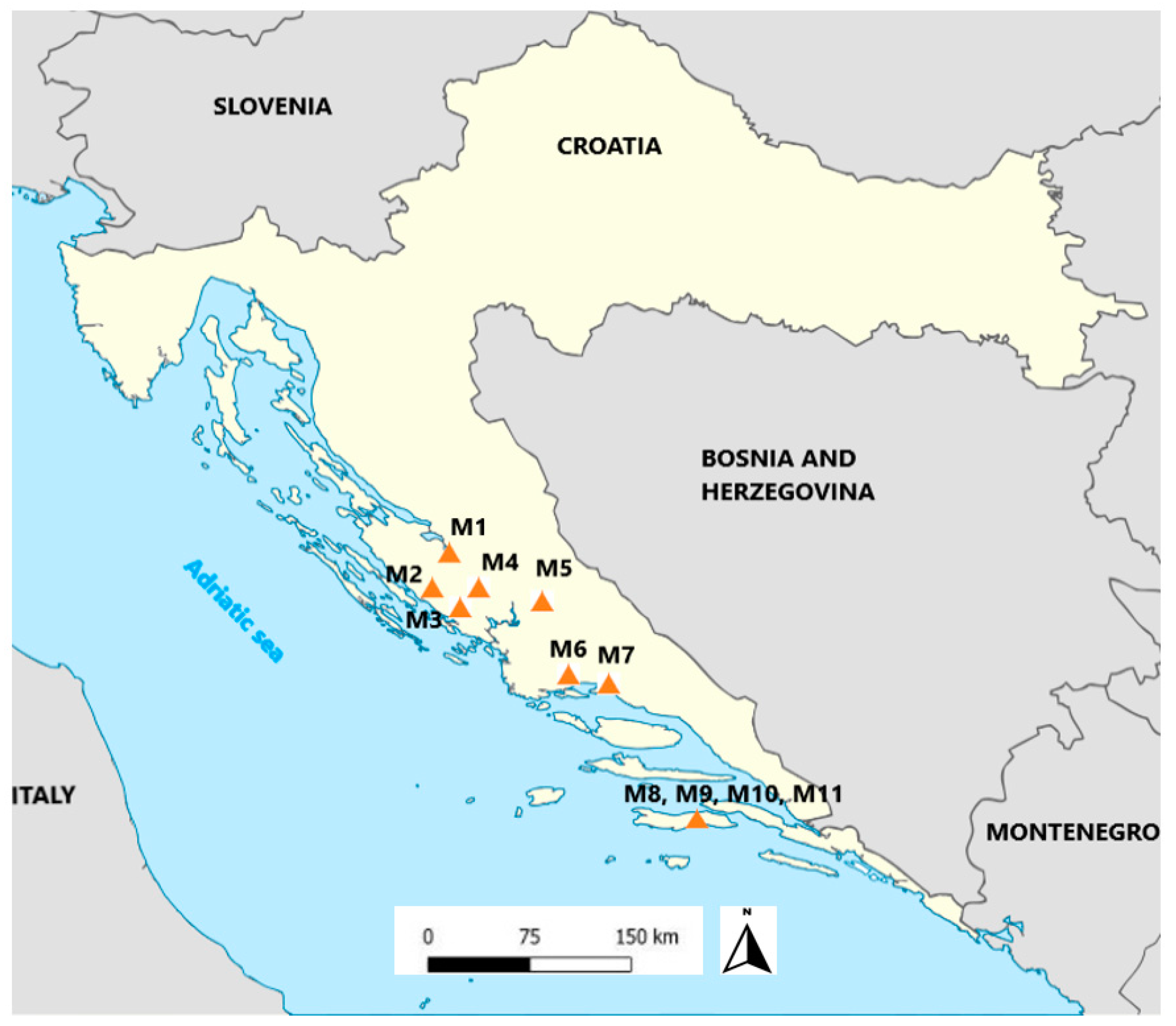 Applsci 13 06446 g001 Applsci 13 06446 g001