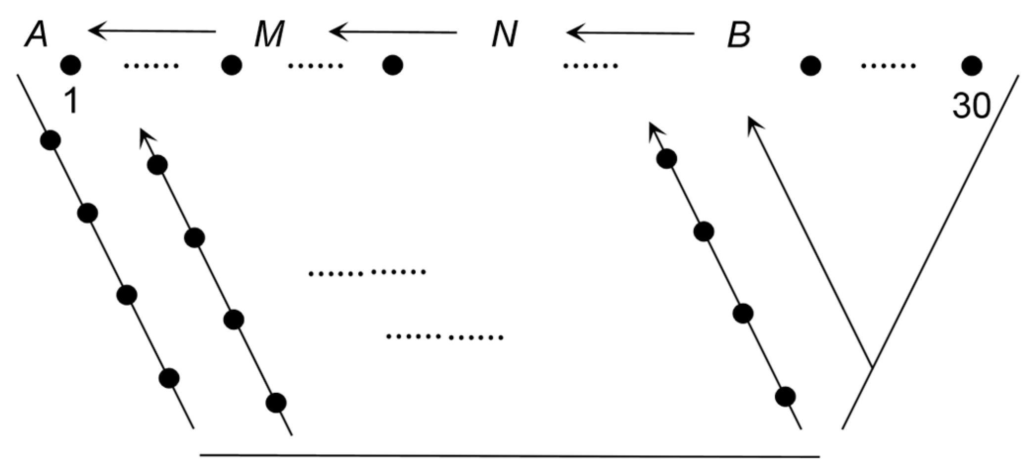 Applsci 13 06459 g003 Applsci 13 06459 g003