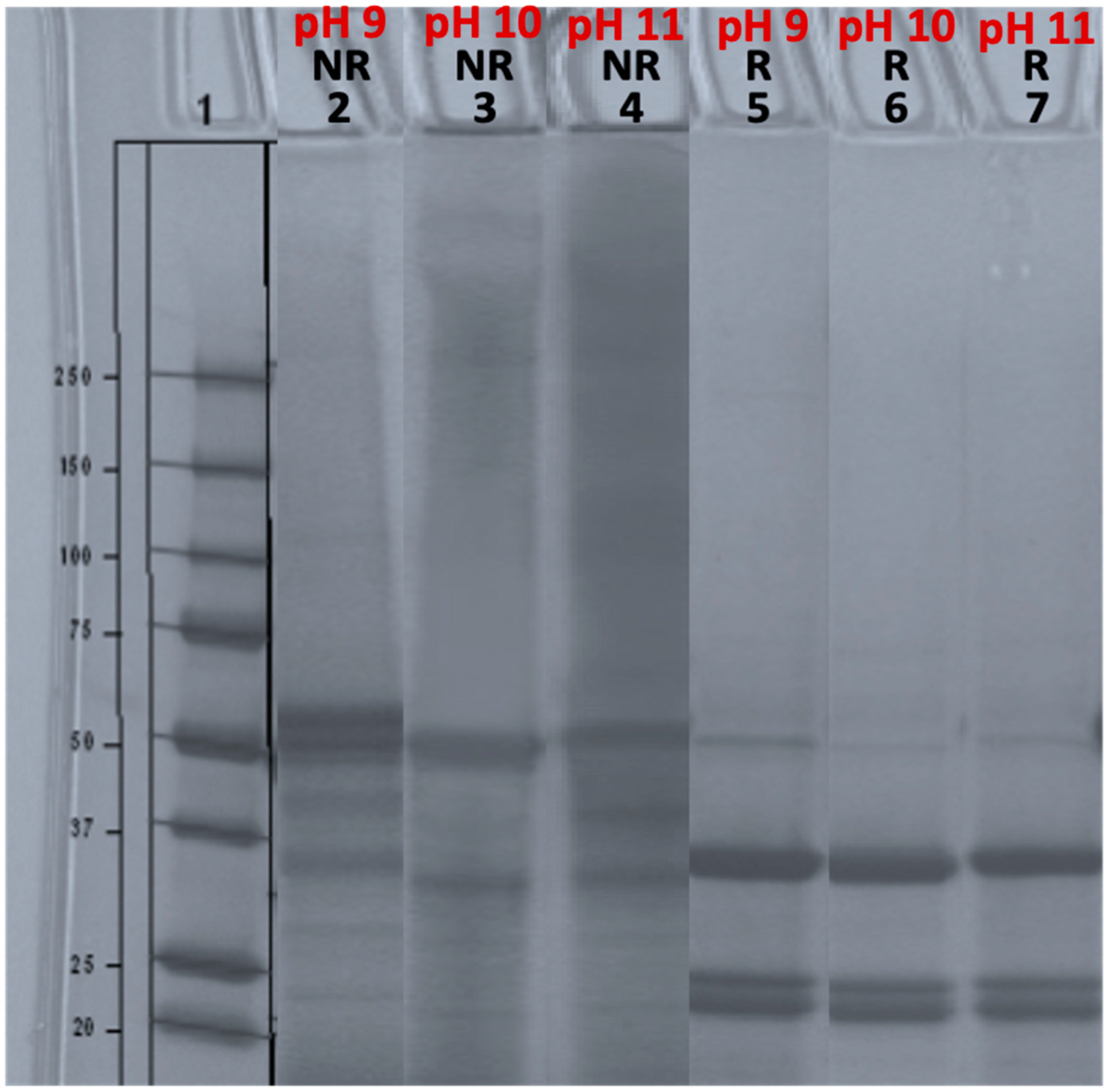 Applsci 13 06469 g005