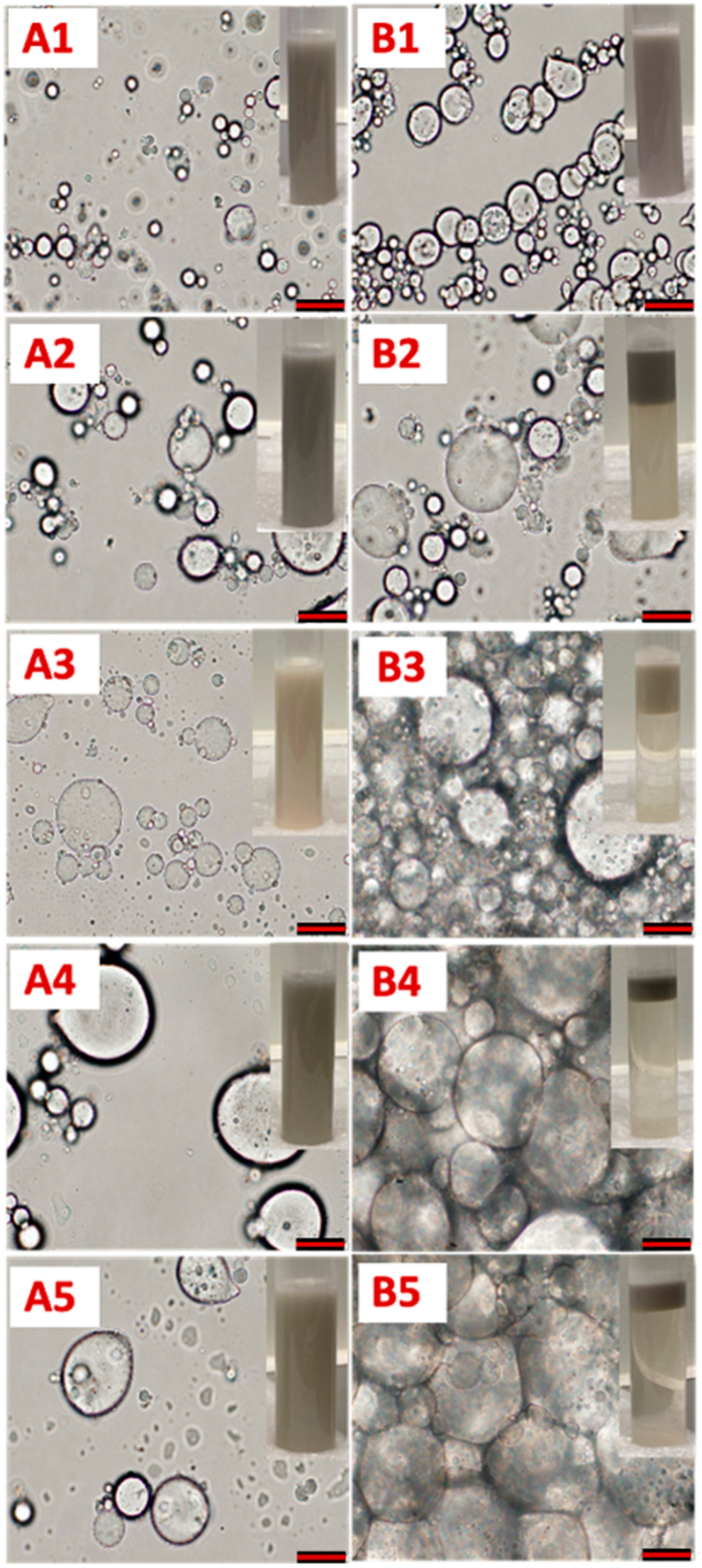 Applsci 13 06469 g007