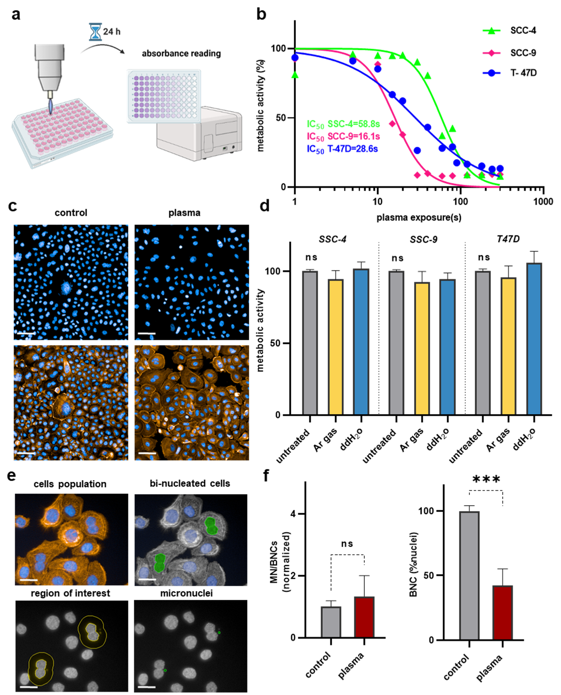 Applsci 13 06472 g001