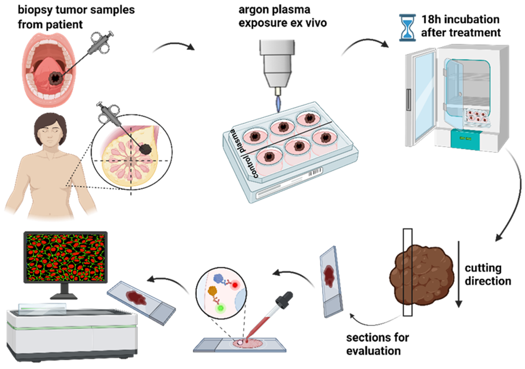 Applsci 13 06472 g002