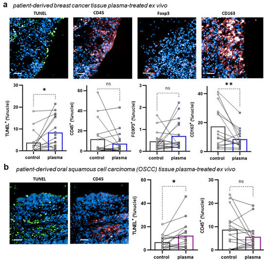 Applsci 13 06472 g003