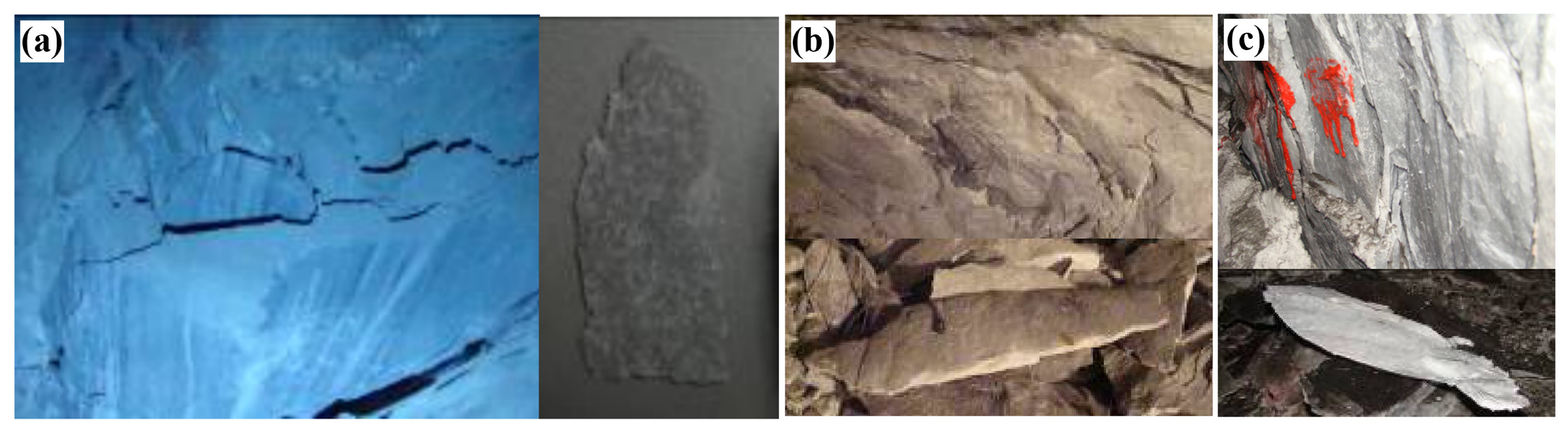 Applsci 13 06474 g012