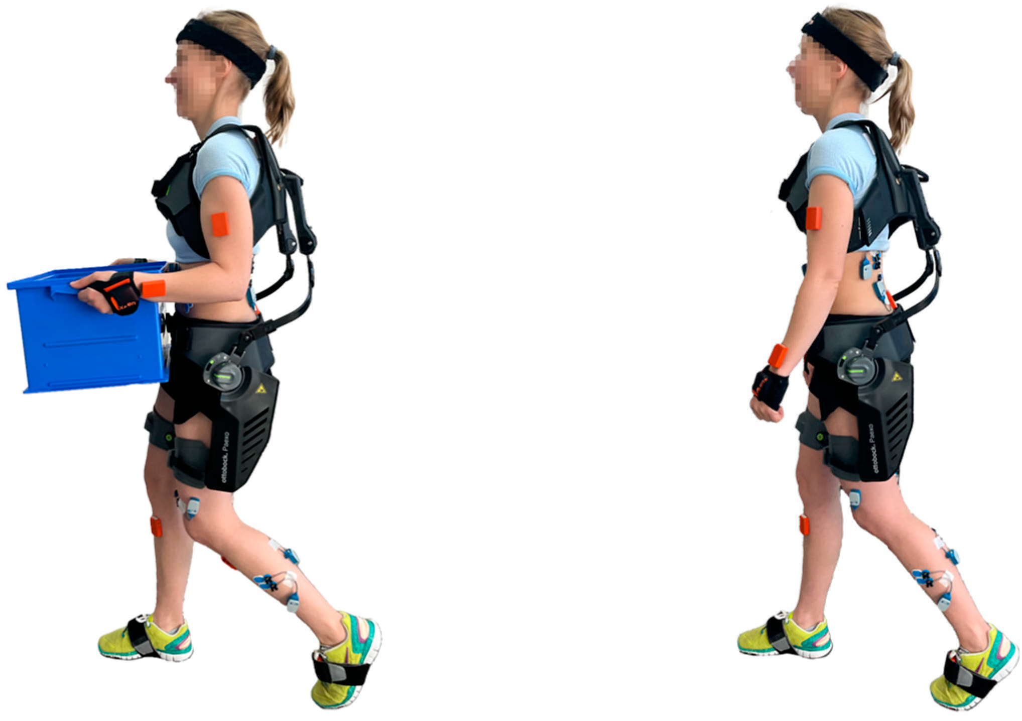 Applsci 13 06483 g002